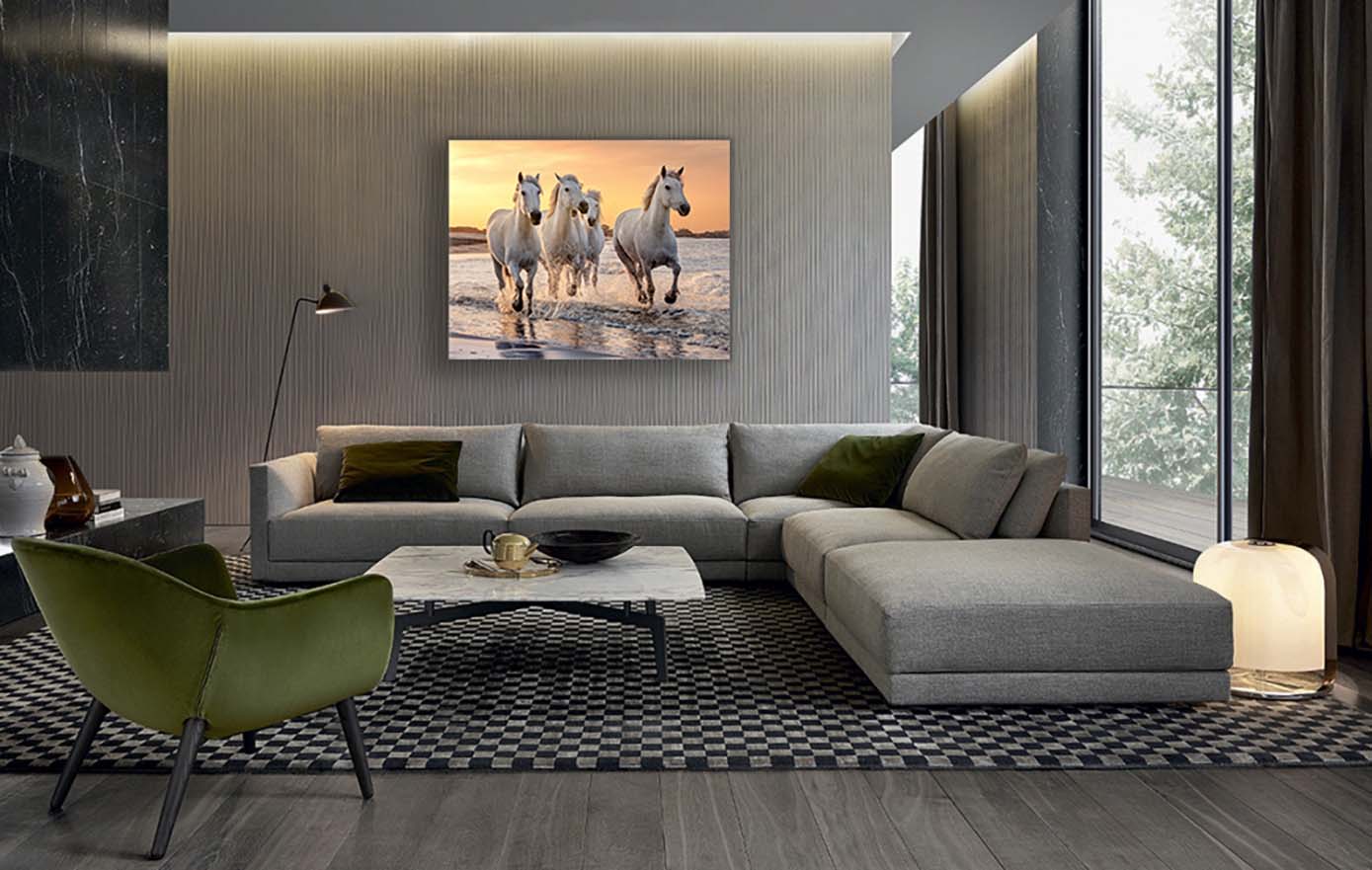 Beautiful Horses Fine Art Canvas 48" x 36"