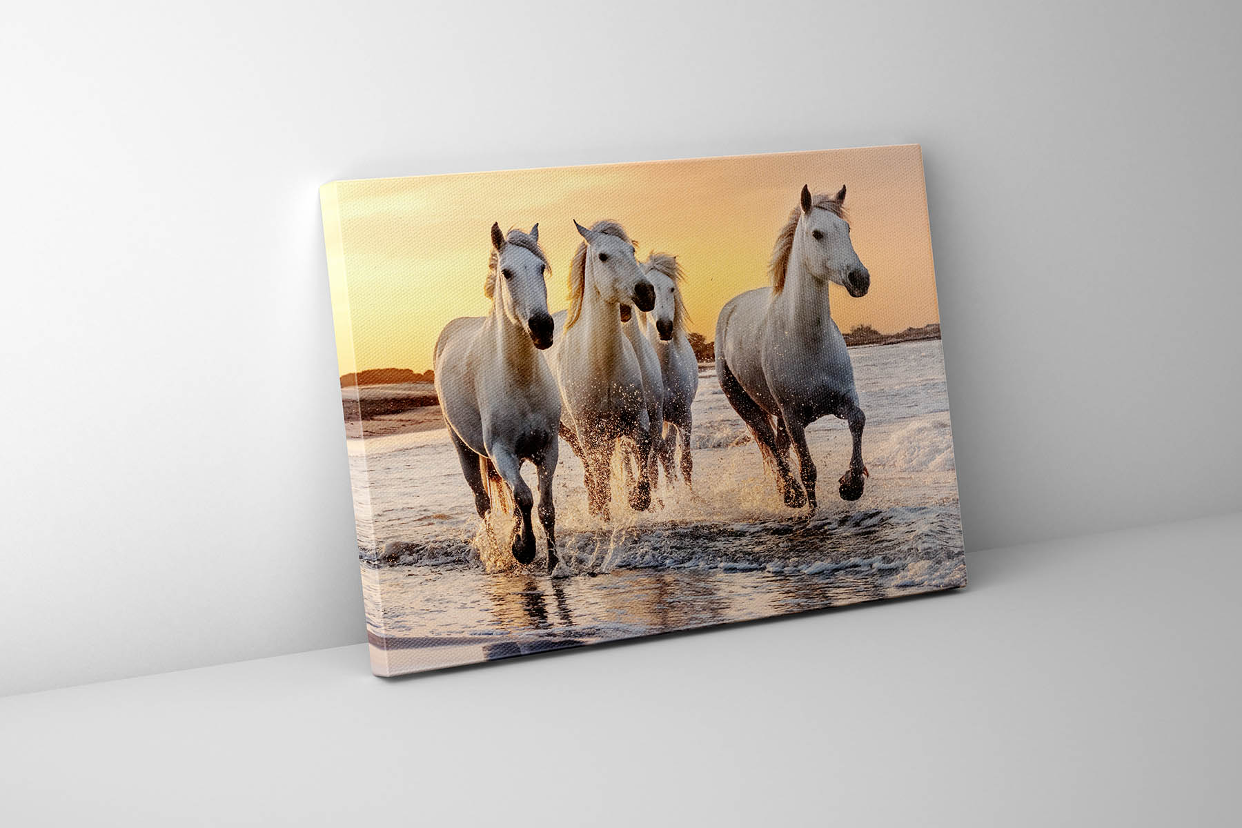 Beautiful Horses Fine Art Canvas 48" x 36"