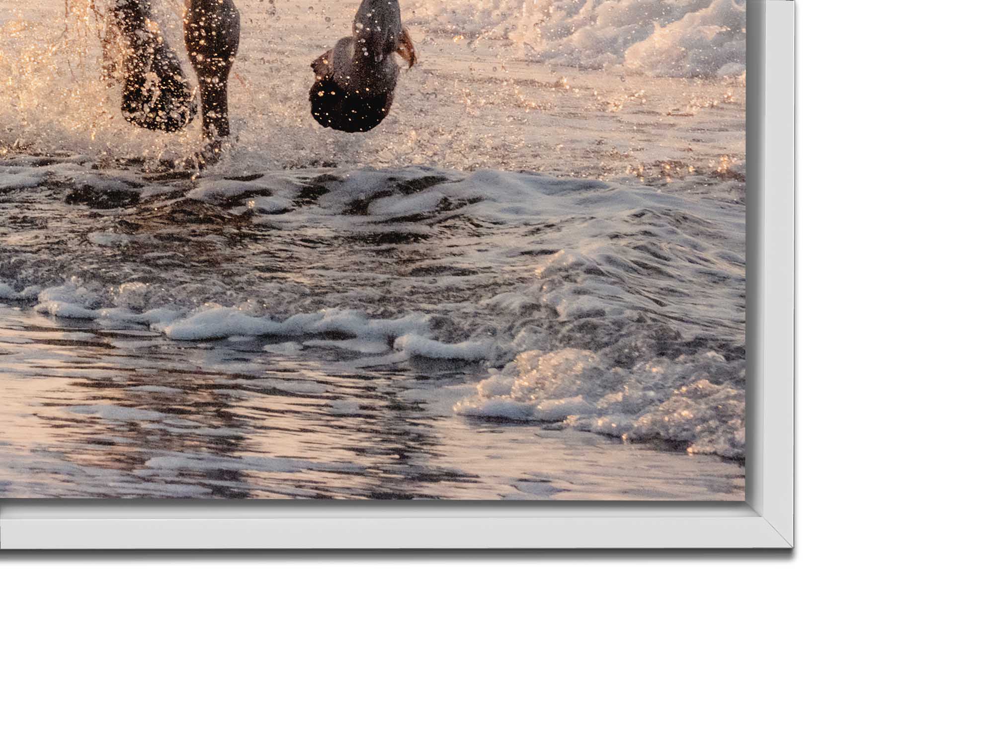 Beautiful Horses Fine Art Canvas 48" x 36"