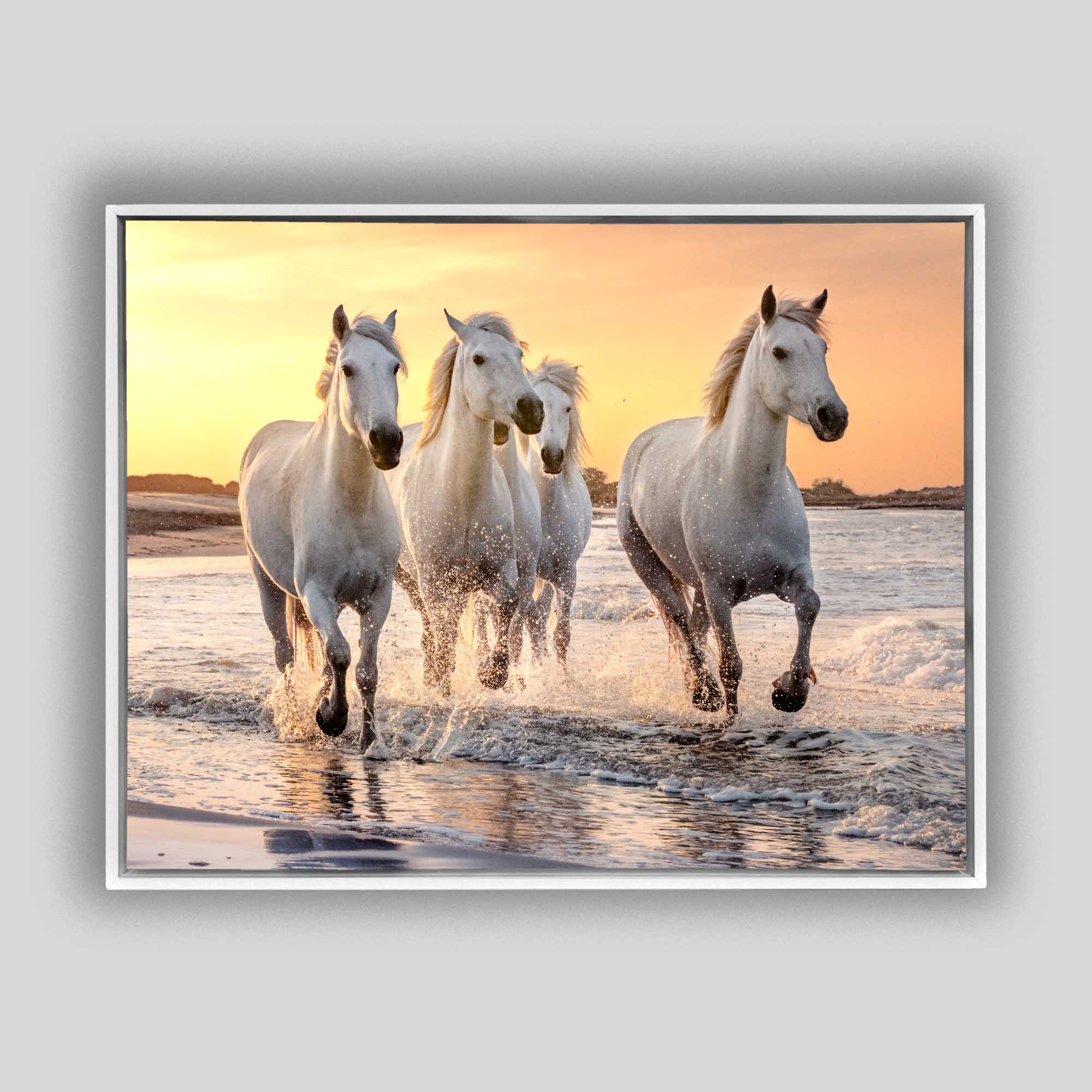 Beautiful Horses Fine Art Canvas 48" x 36"