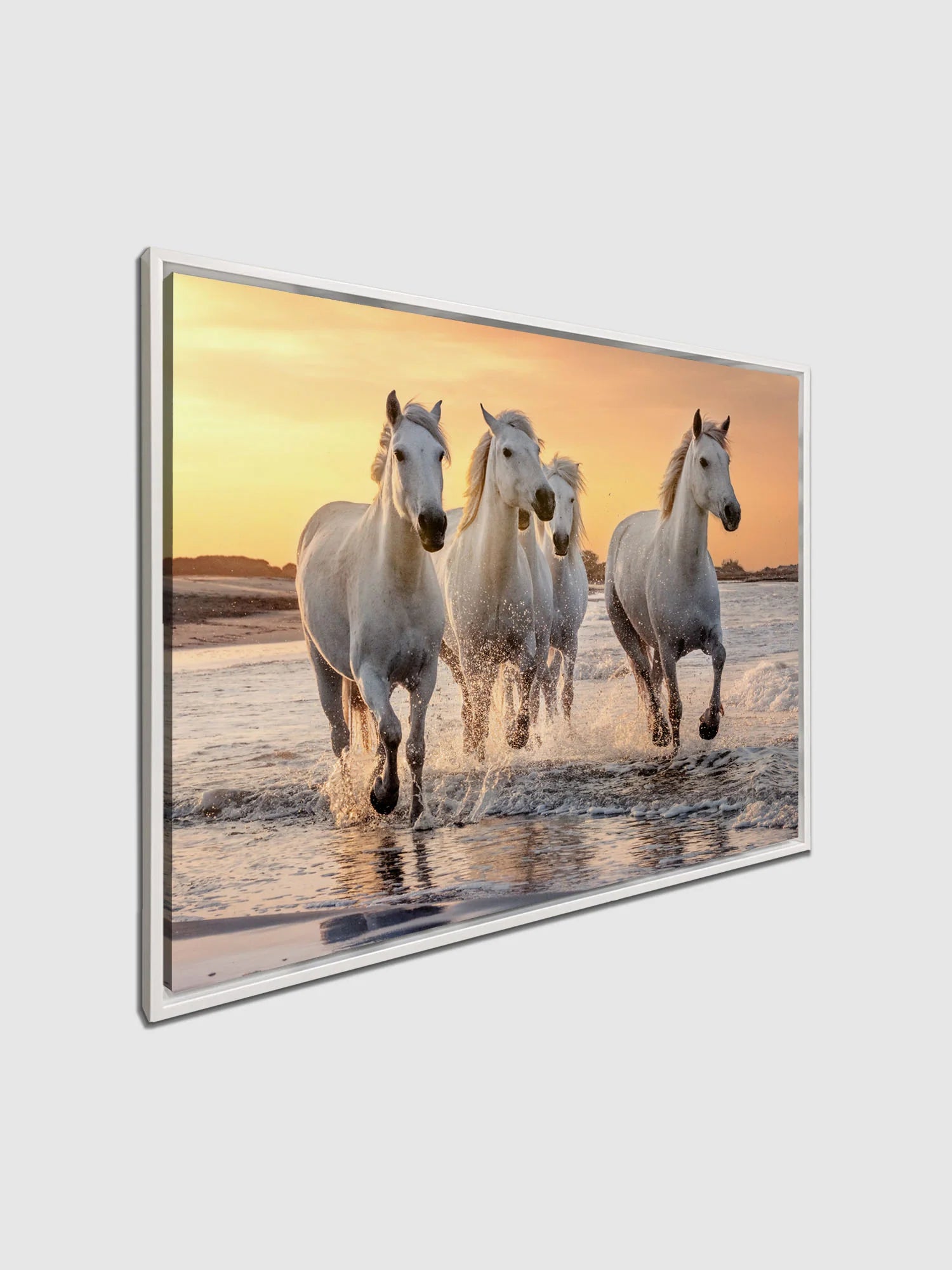 Beautiful Horses Fine Art Canvas 48" x 36"