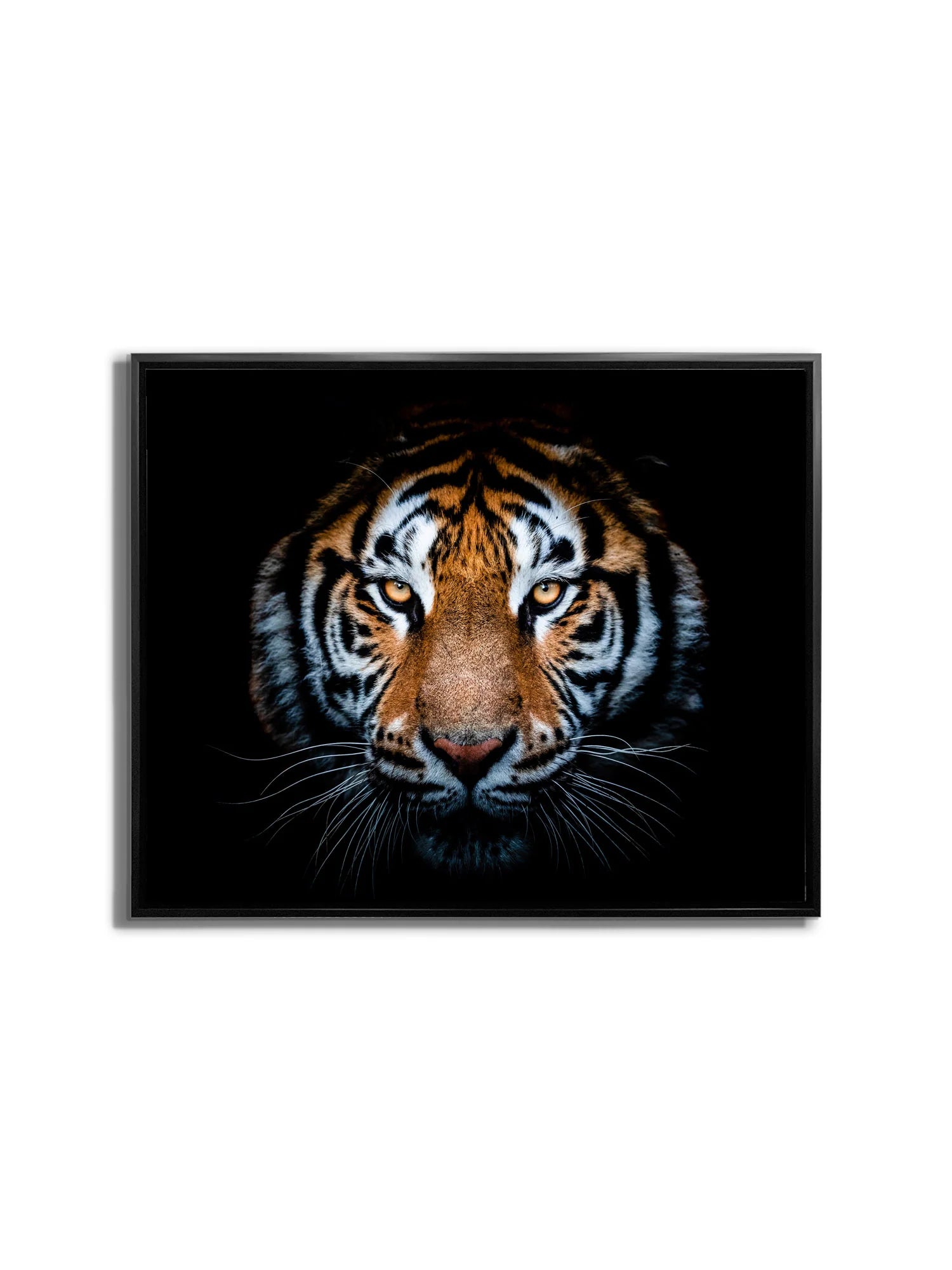 Hi Res Tiger Head Canvas Art 48" x 36"