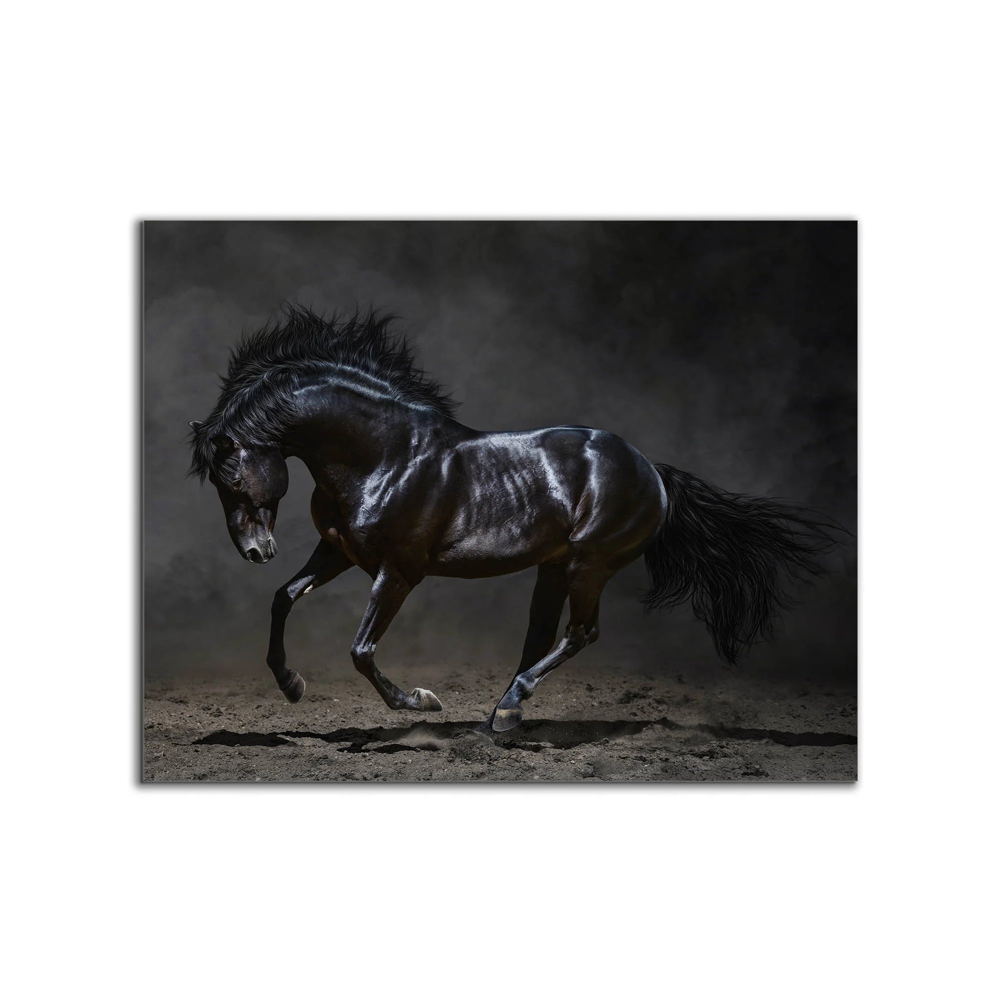 Horse Canvas Art 36" x 48"