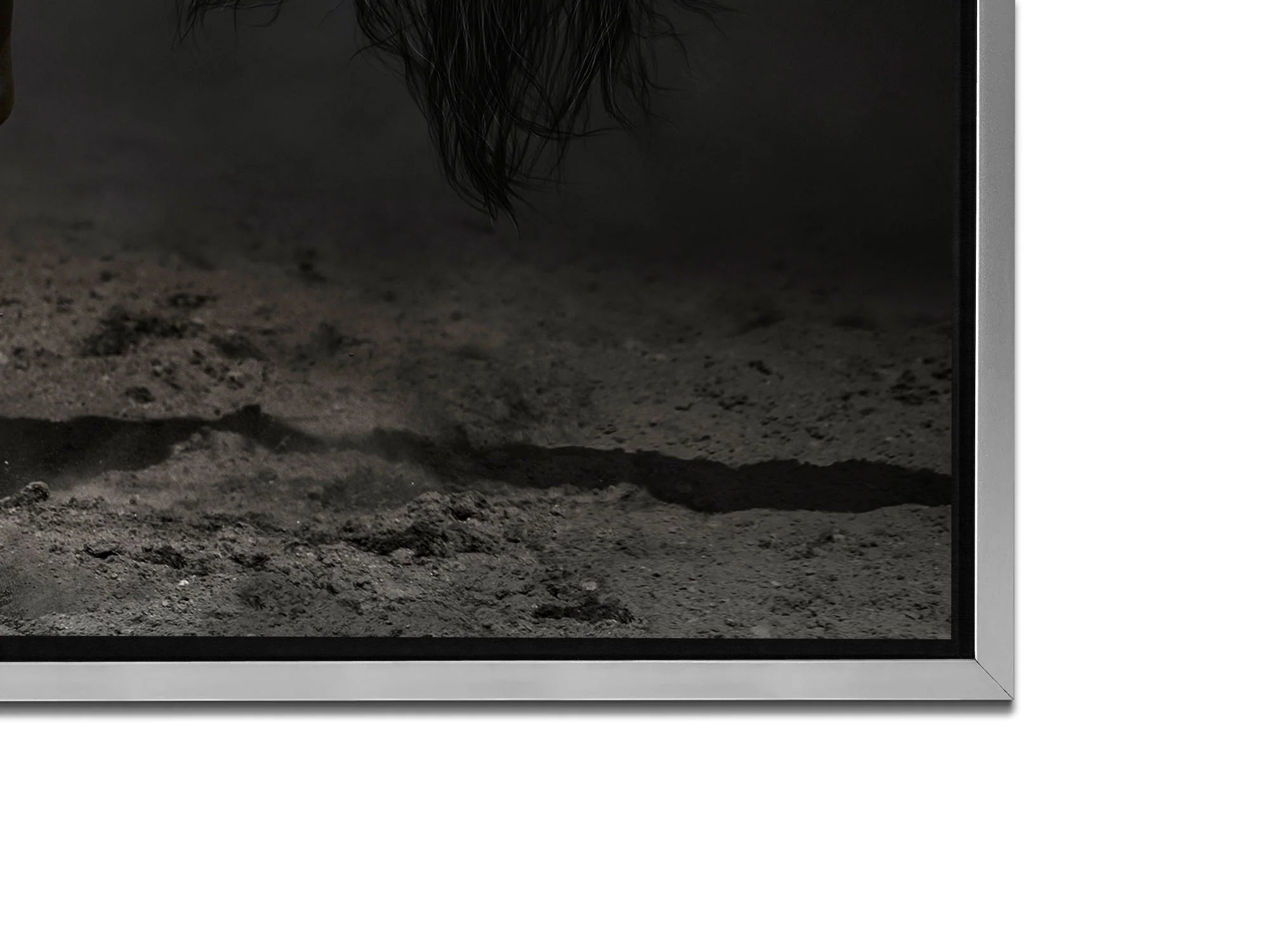 Horse Canvas Art 36" x 48"