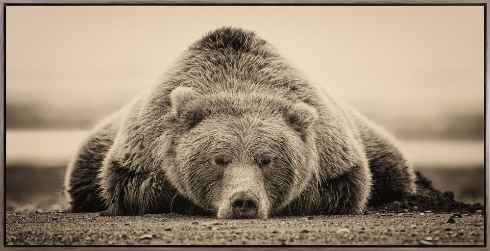 Deep Sleep Canvas Art 30" x 60"