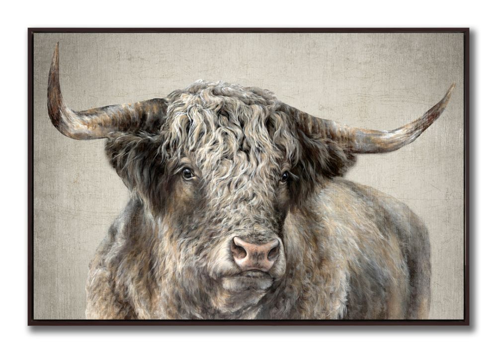 Kyloe Bull Canvas Art 30" x 45"