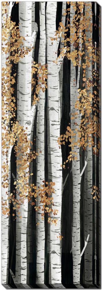 Gilded Birch 2 PC Floating Frame