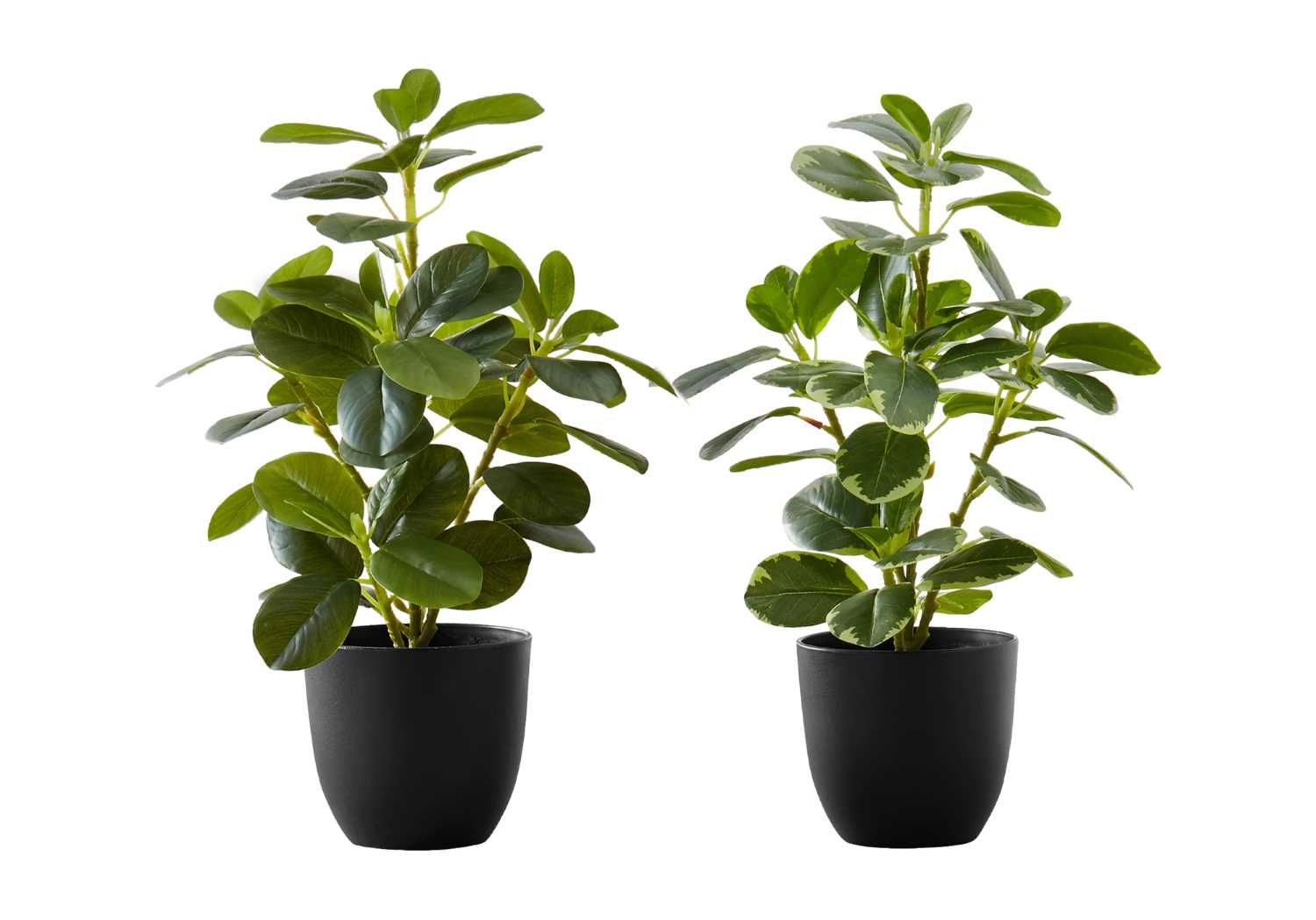 Artificial Ficus Elastica Indoor Plant Pots 2 pcs 9585