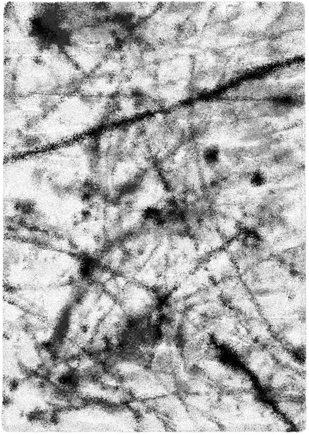 Boston Rugs Collection White - Grey P844A