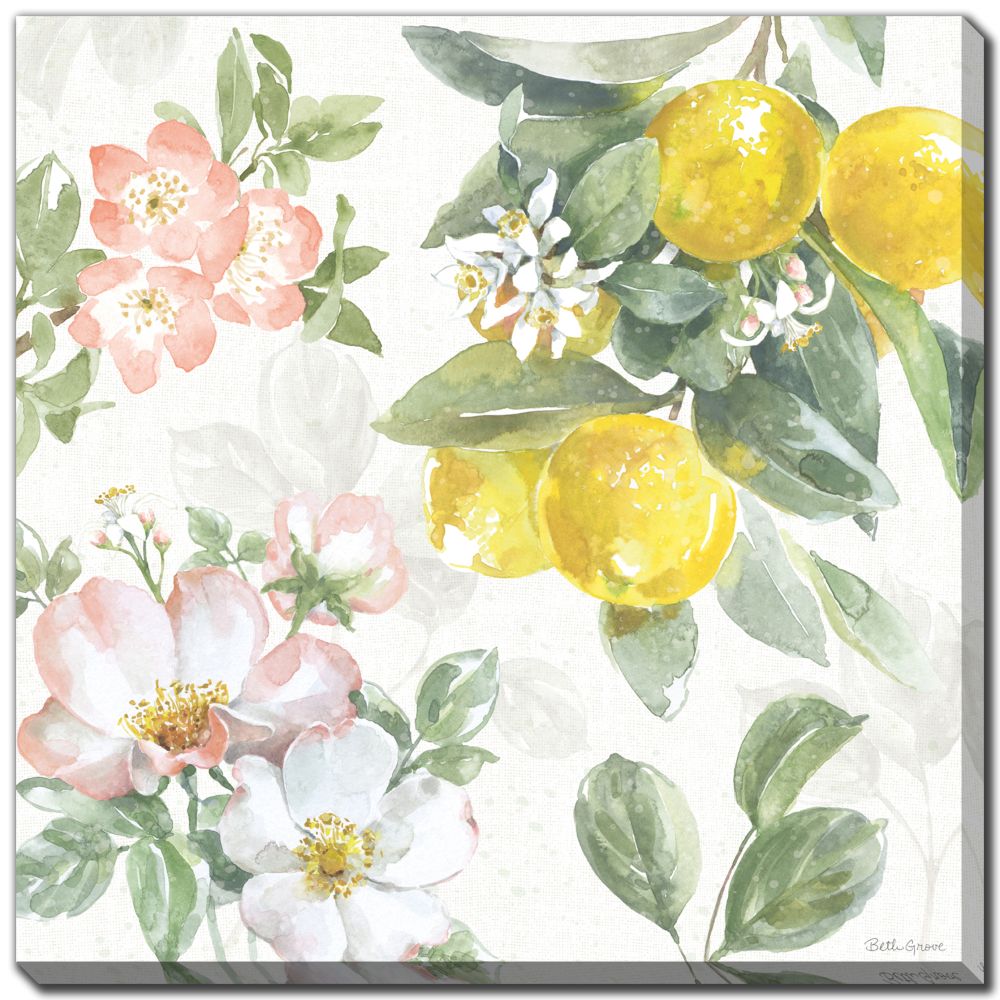 Citrus Charm V Canvas Art 24" x 24"