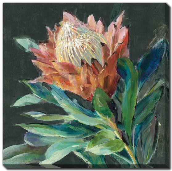 Deep Protea Crop Canvas Art 24" x 24"