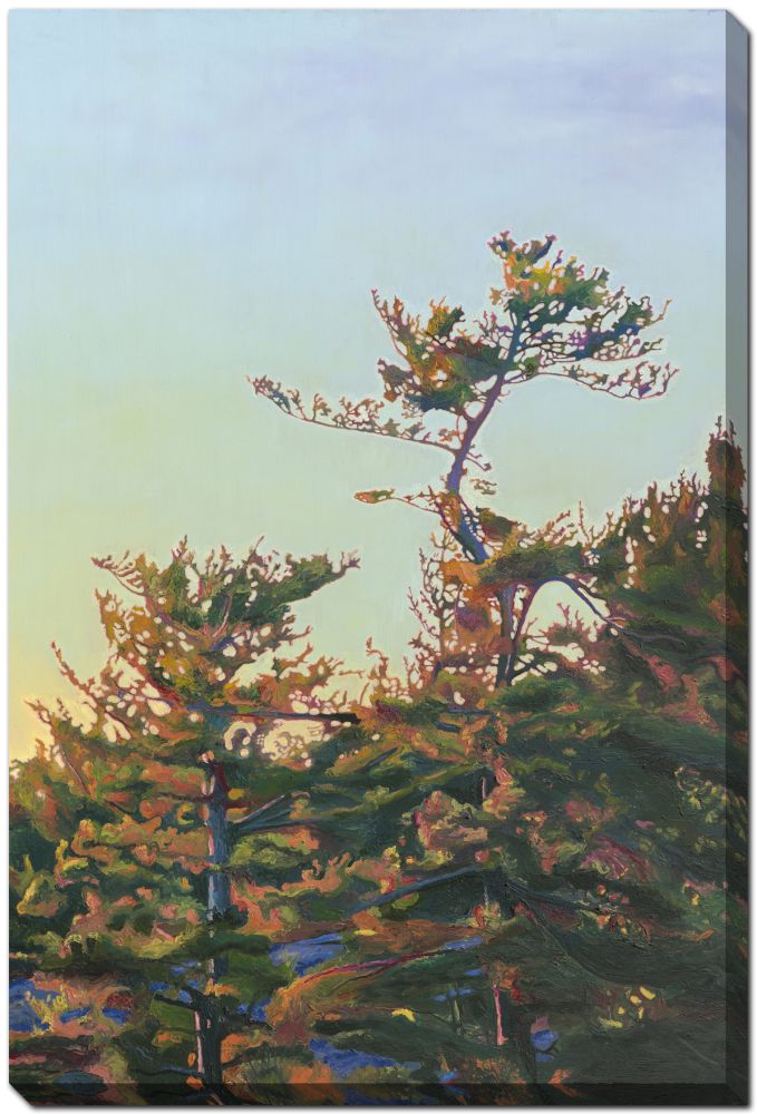 The Reach Gravenhurst Canvas Art 30" x 45"
