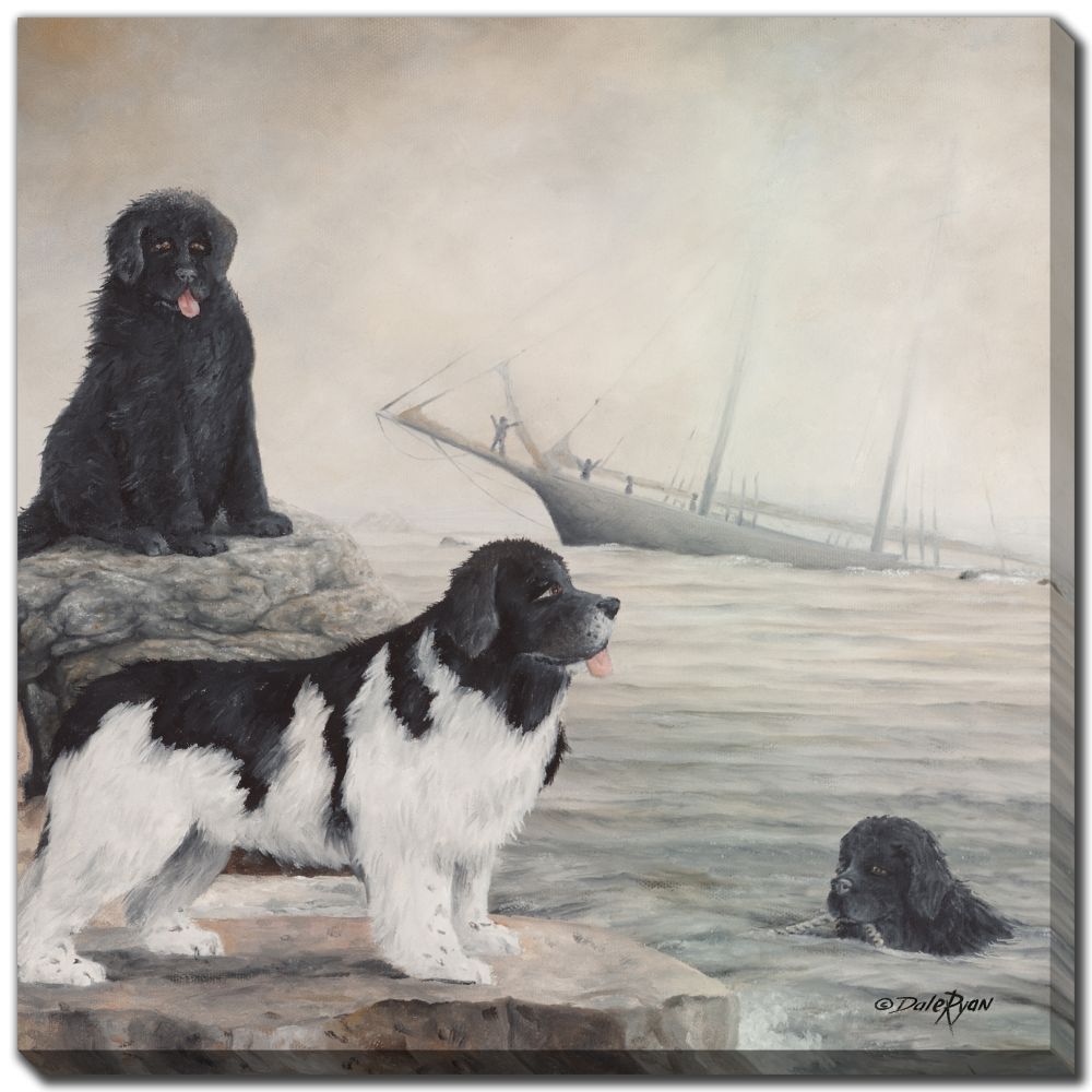 The Rescue Canvas Custom Order