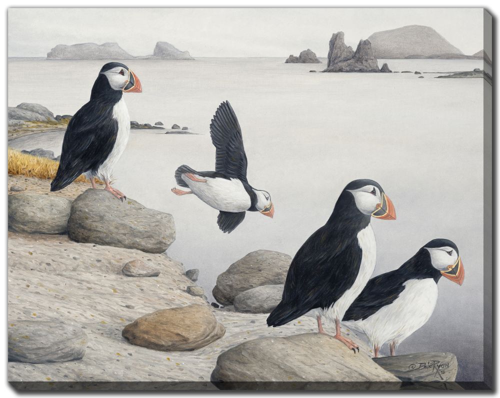 Puffin Cove Canvas Custom Order