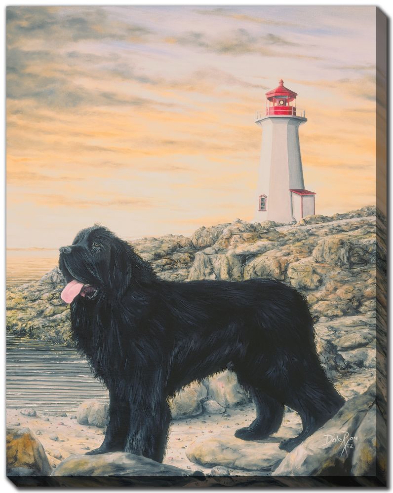 Storm NL Dog Canvas Custom Order
