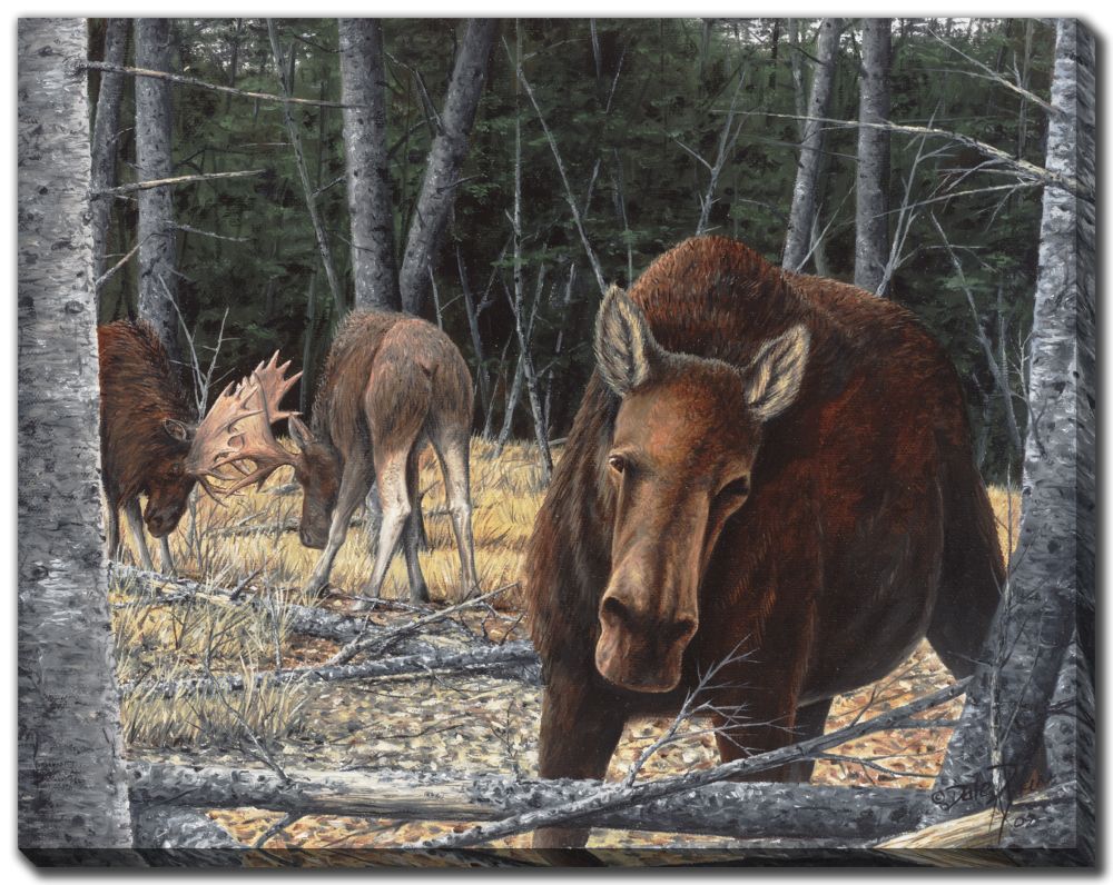 The Fight Canvas Custom Order