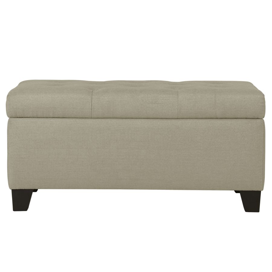 Harper Rectangular Storage Ottoman Bench in Beige 402-503