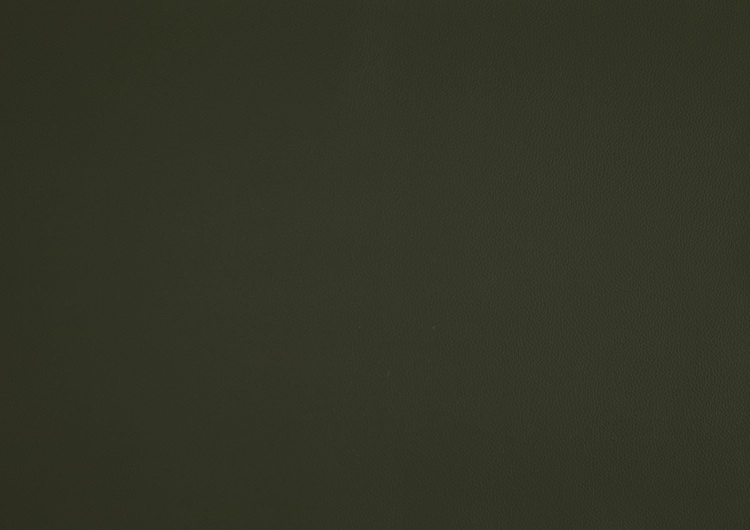 Houghton Green Top Grain Leather Accent Chair 1129