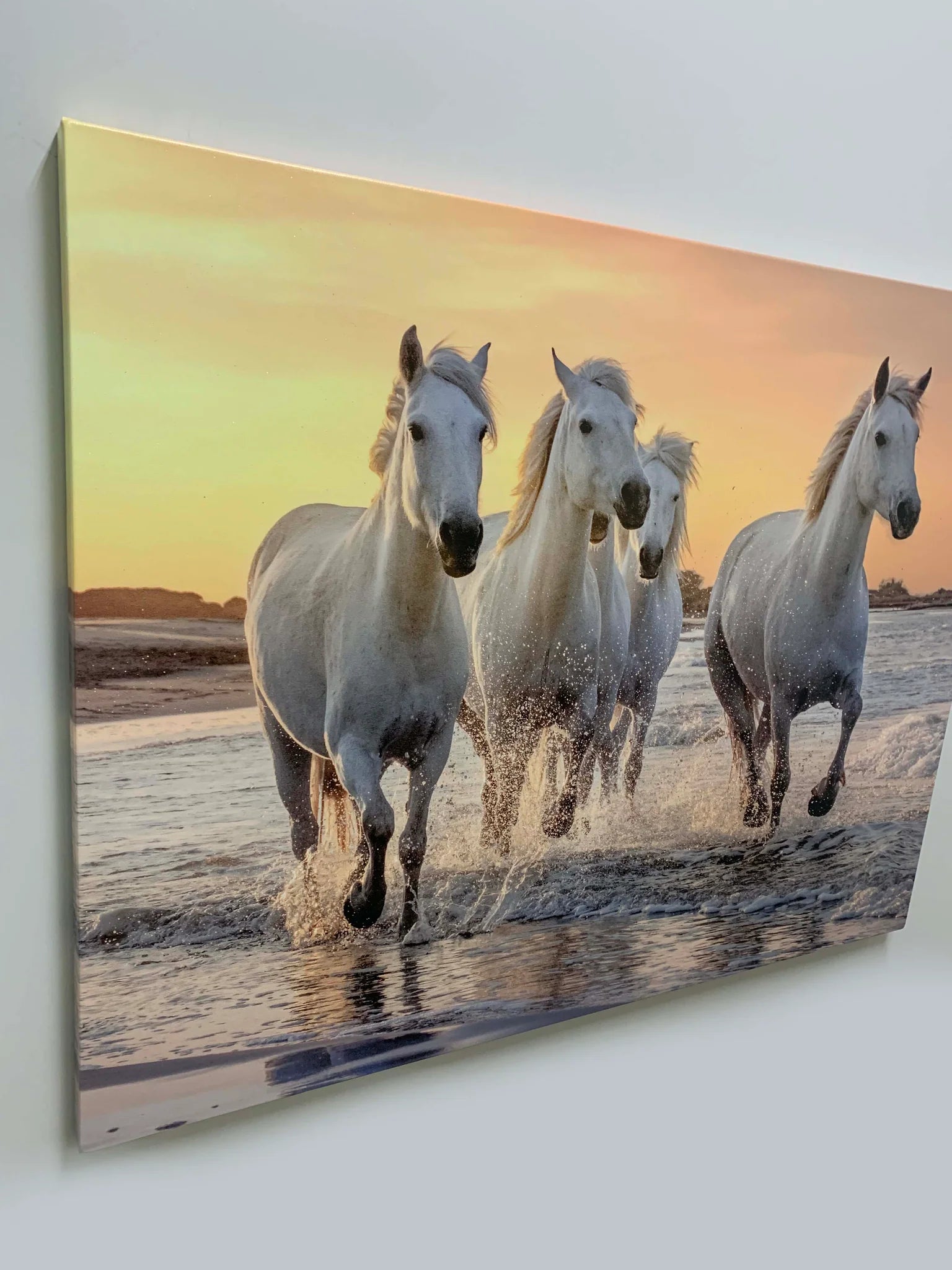 Beautiful Horses Fine Art Canvas 48" x 36"
