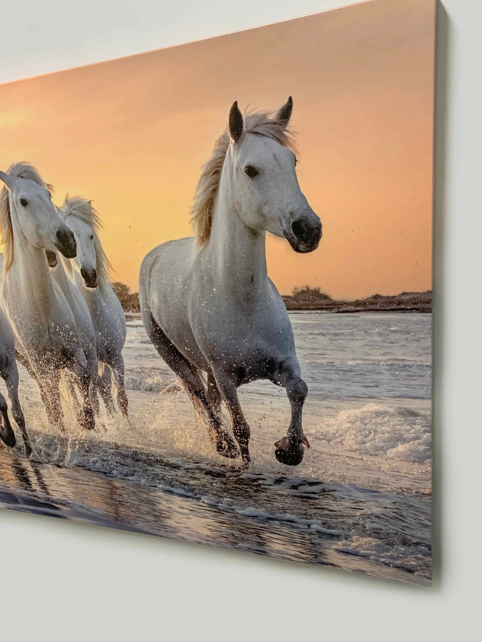 Beautiful Horses Fine Art Canvas 48" x 36"