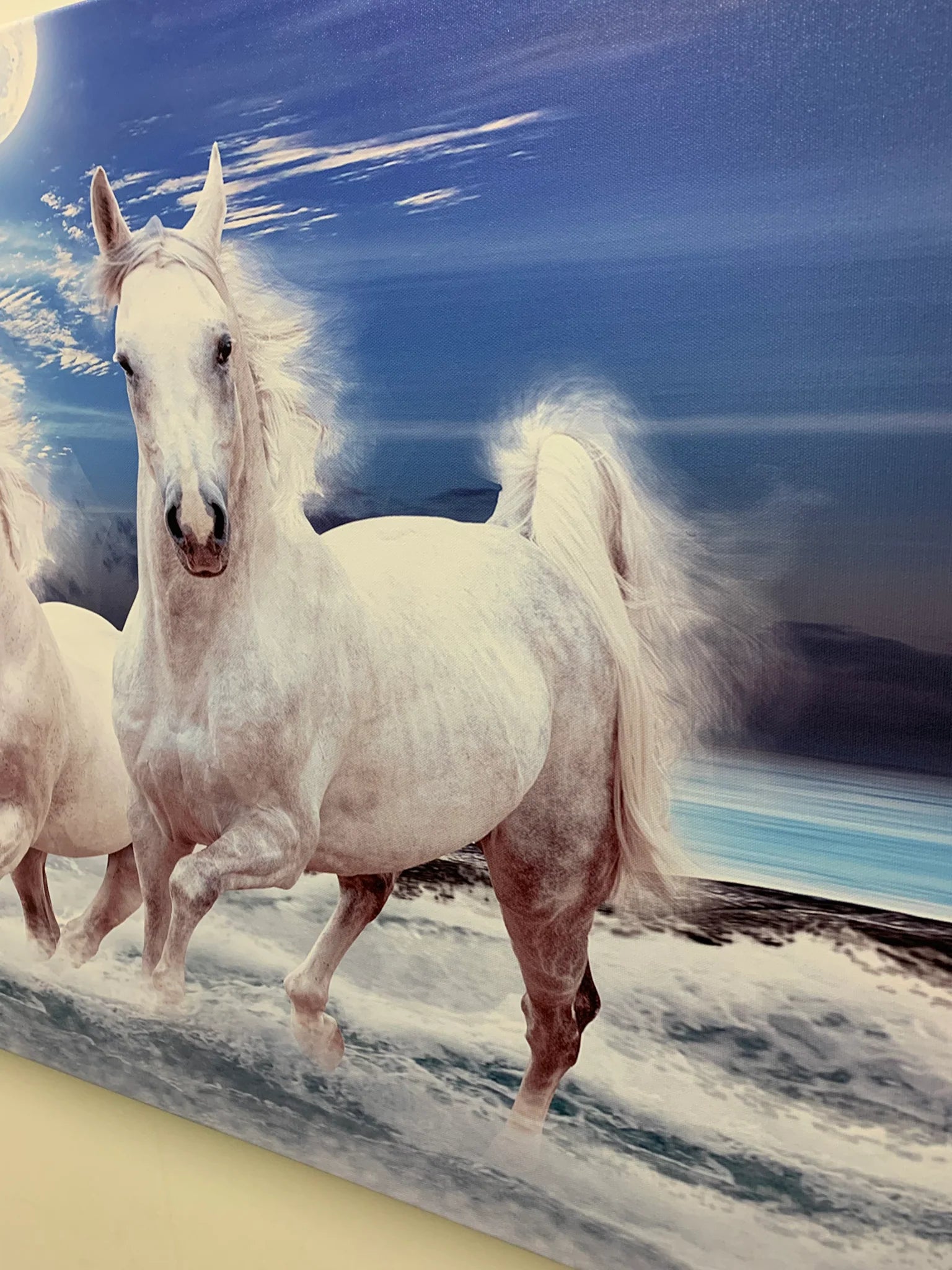 7 Horses Fine Art Canvas 72" x 24"