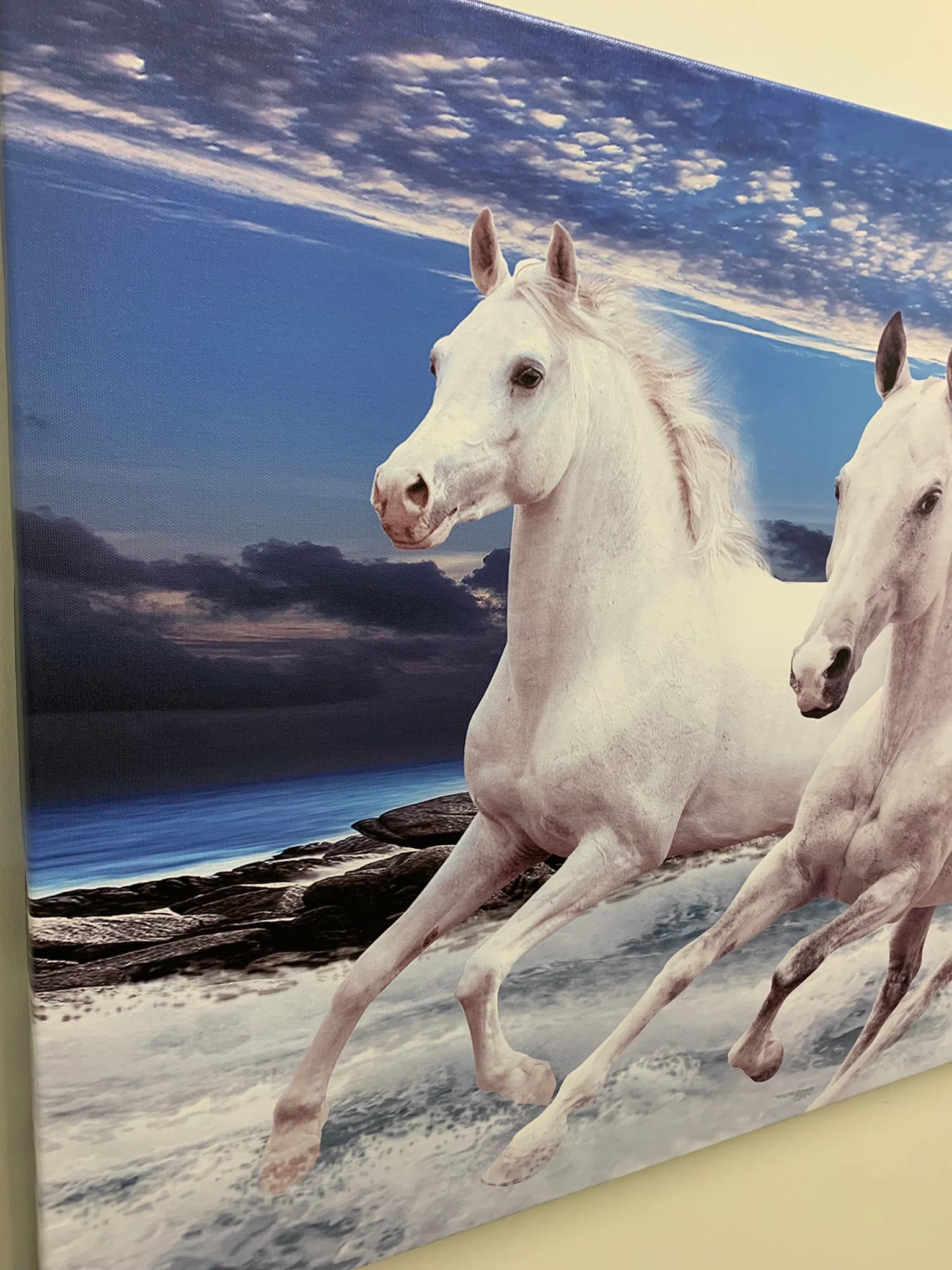 7 Horses Fine Art Canvas 72" x 24"
