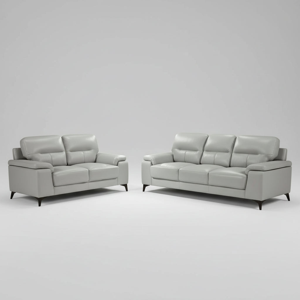 Mischa Top Grain Leather 2 PC Sofa Set Silver Grey 9514
