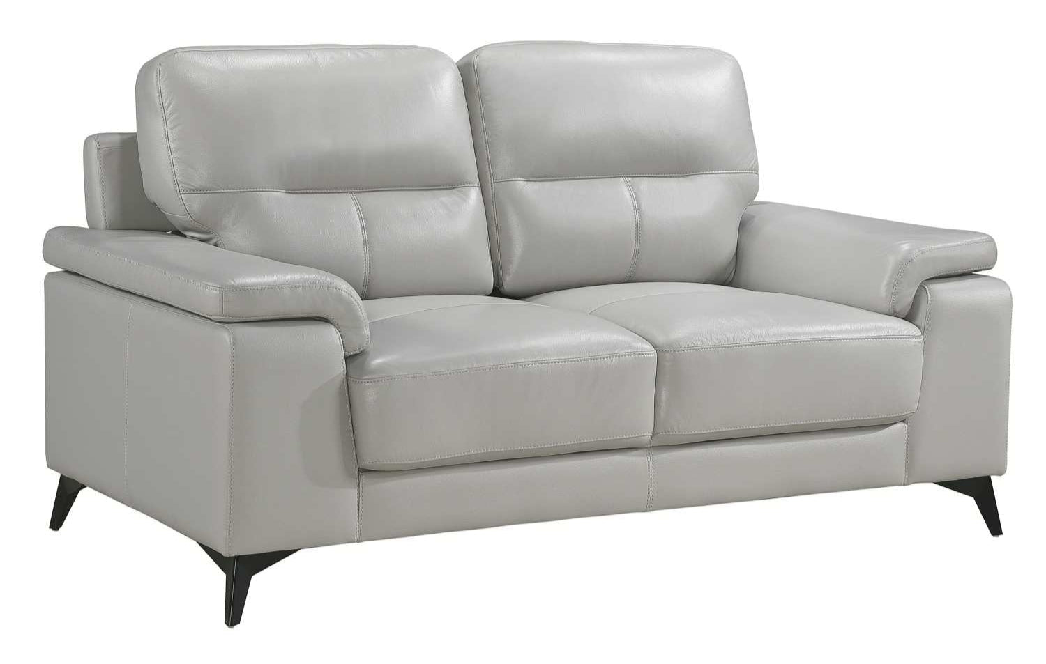 Mischa Top Grain Leather 2 PC Sofa Set Silver Grey 9514