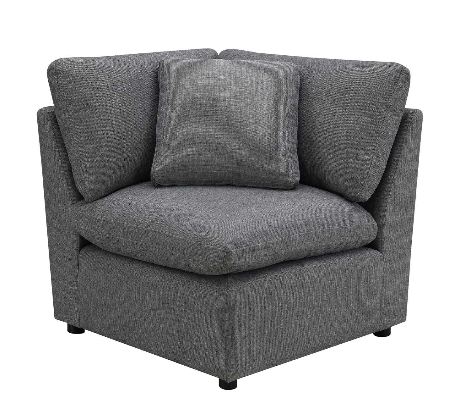 Pippa 5-Piece Modular Sectional with 3 Pillows 99076GYSS5