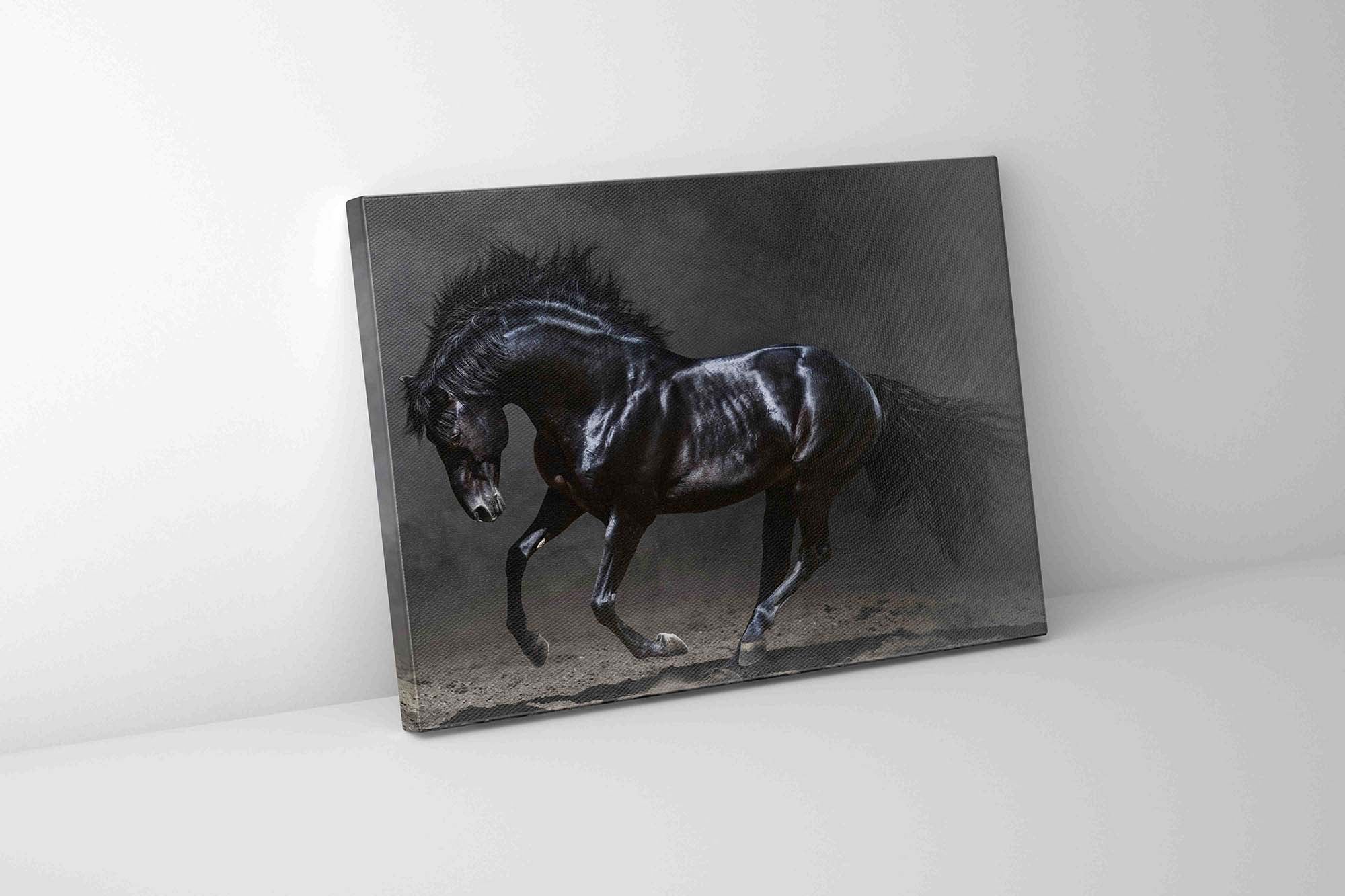 Horse Canvas Art 36" x 48"