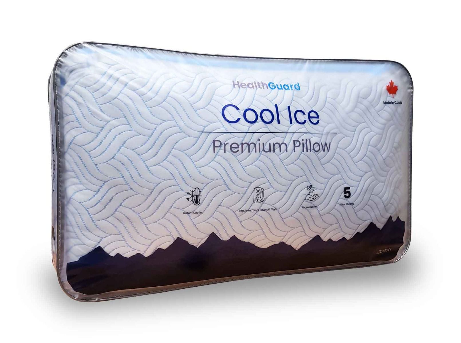 Health Guard Cool Ice Pillow