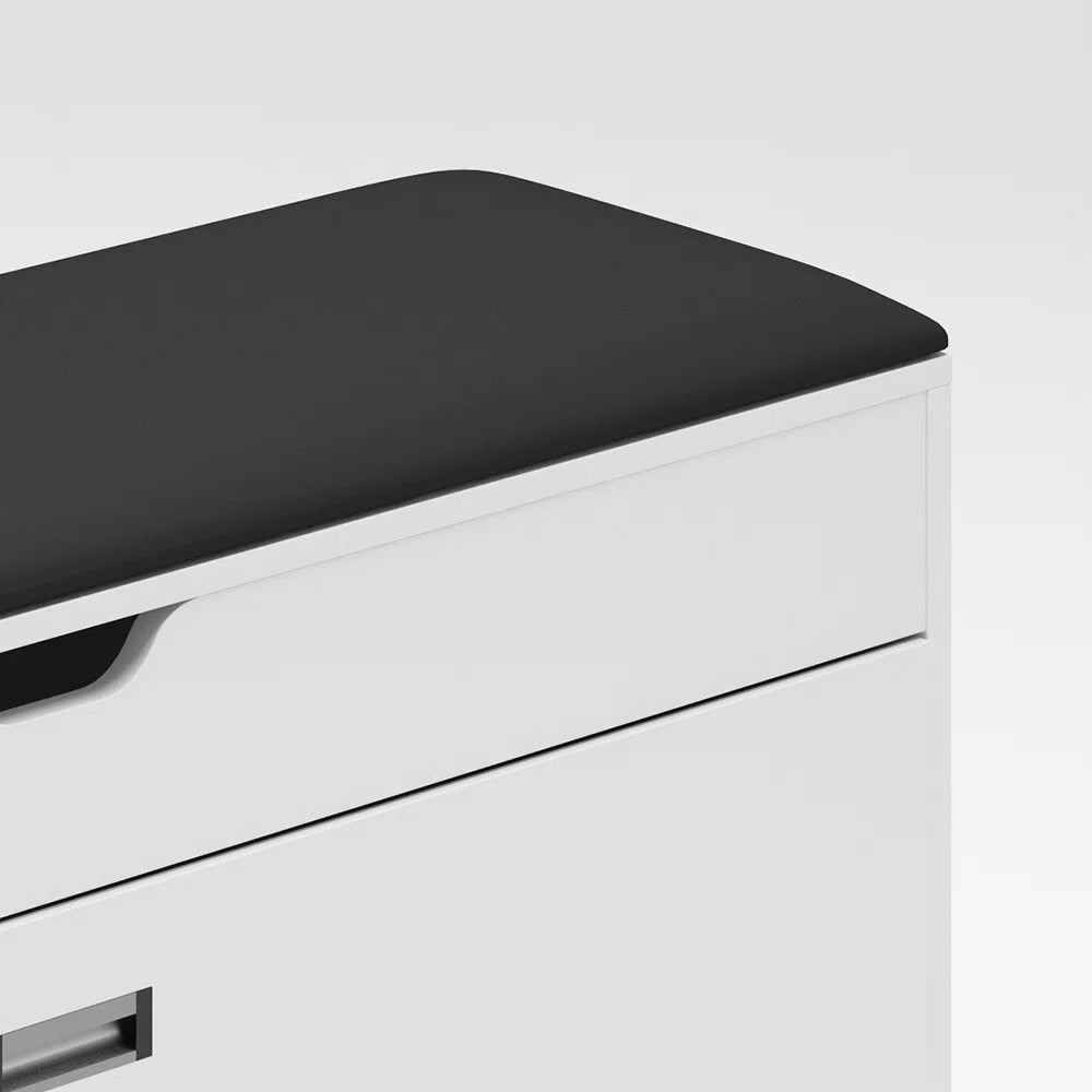 Entryway Door Bench and Shoe Rack