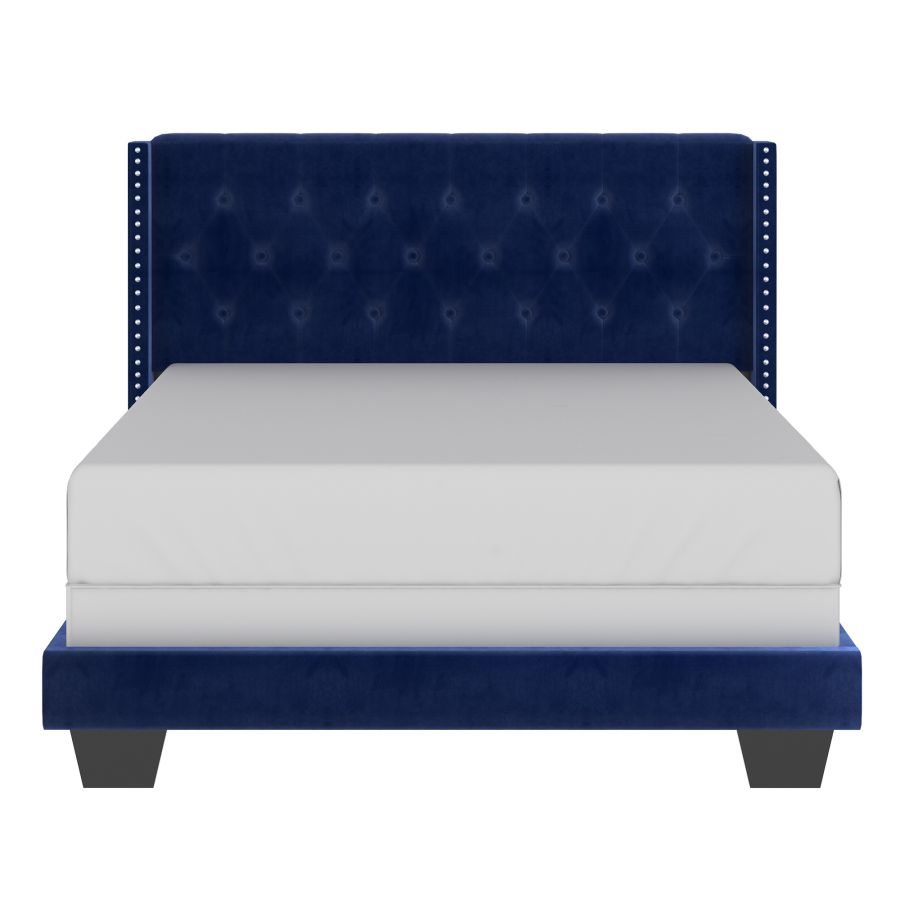 Jedd 60" Queen Bed in Blue Velvet 101-297Q-NAV