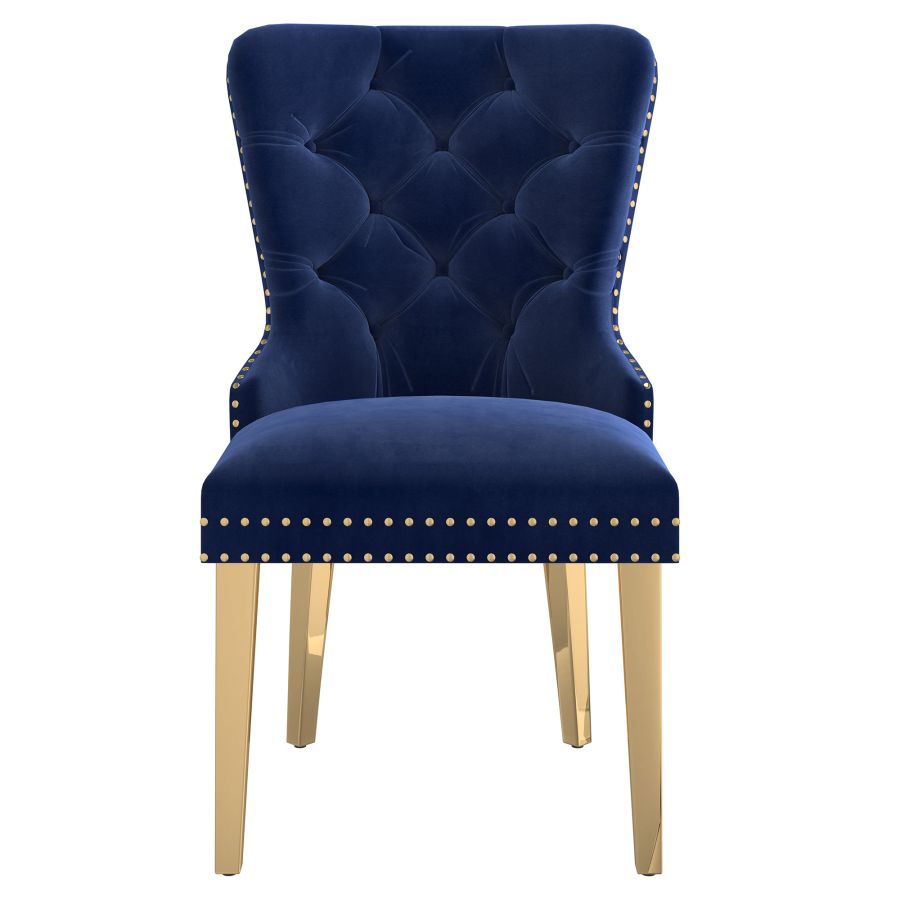 Mizal Side Chair, Set of 2 in Navy and Gold 202-629NAV