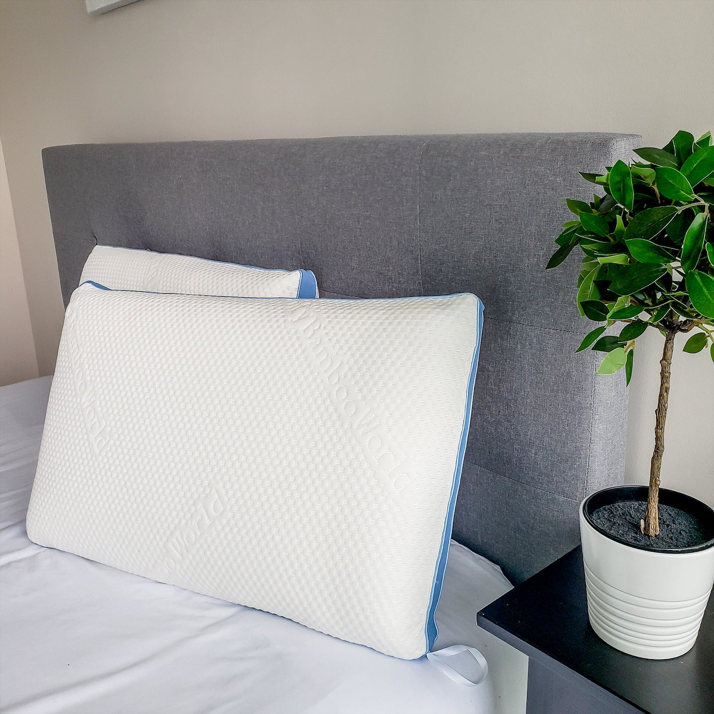 Washable Bamboo Pillow