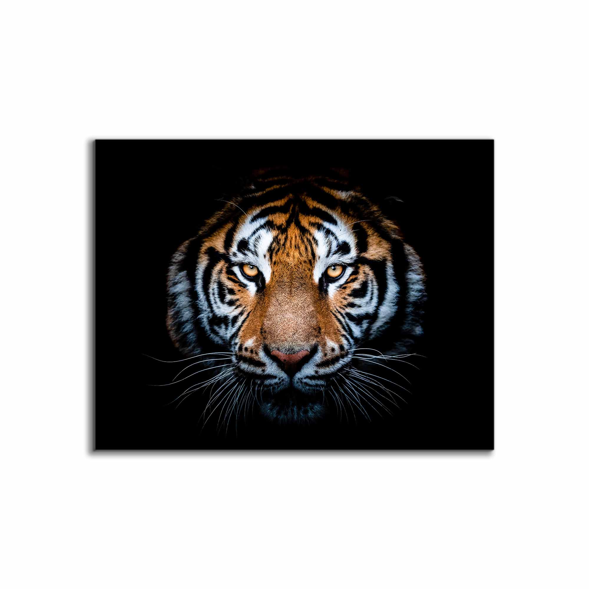 Hi Res Tiger Head Canvas Art 48" x 36"