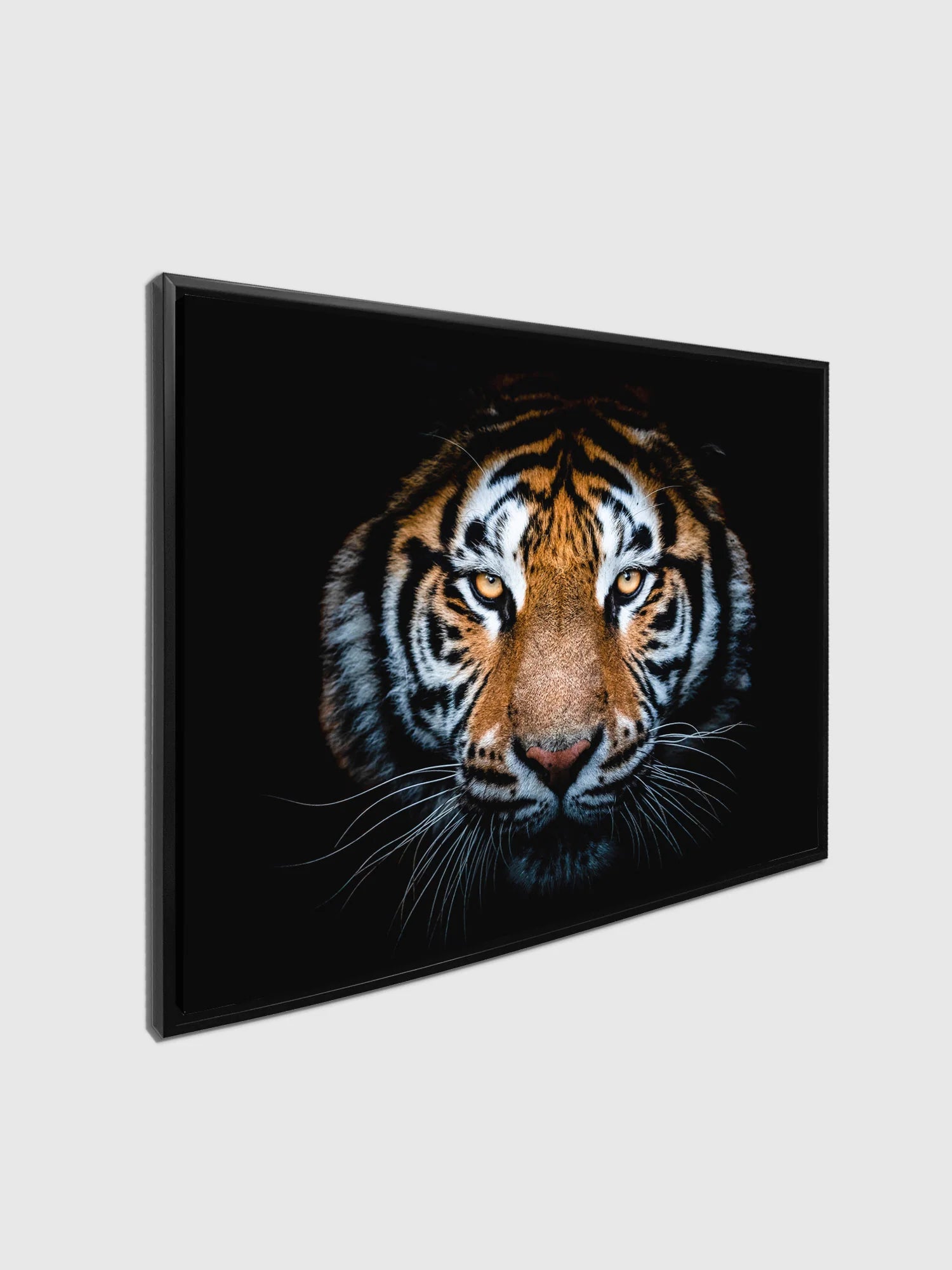 Hi Res Tiger Head Canvas Art 48" x 36"