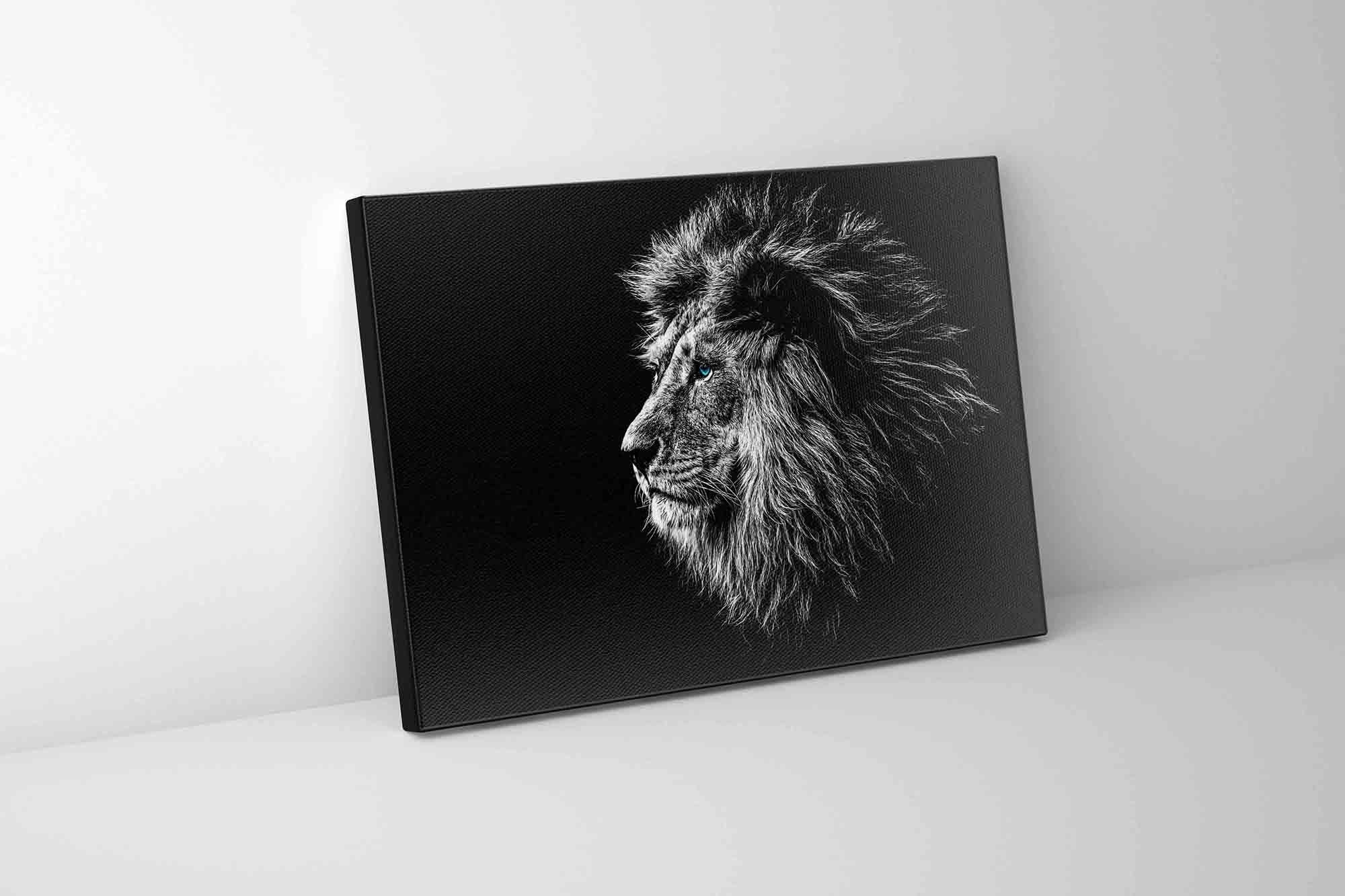 Lion head Canvas Art 36" x 48"