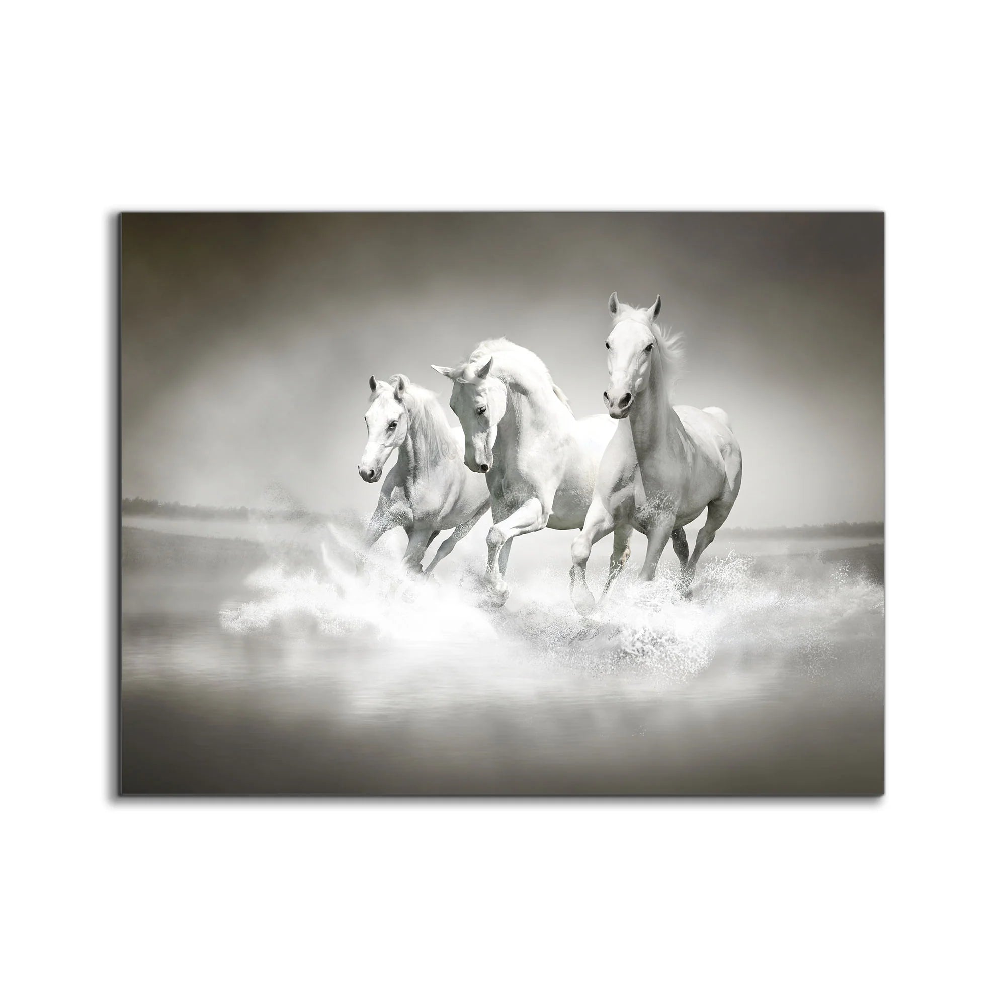 Stallions Canvas Art 36" x 48"