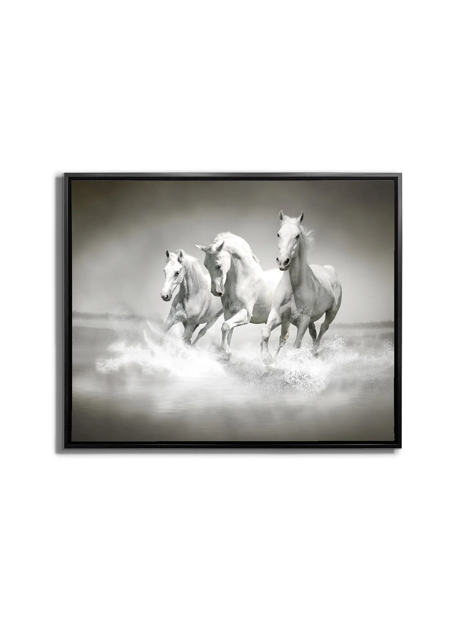 Stallions Canvas Art 36" x 48"