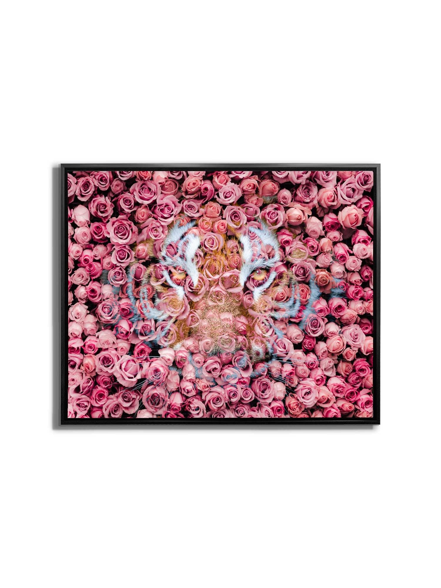 Tiger in the Rose Canvas Art 36" x 48"