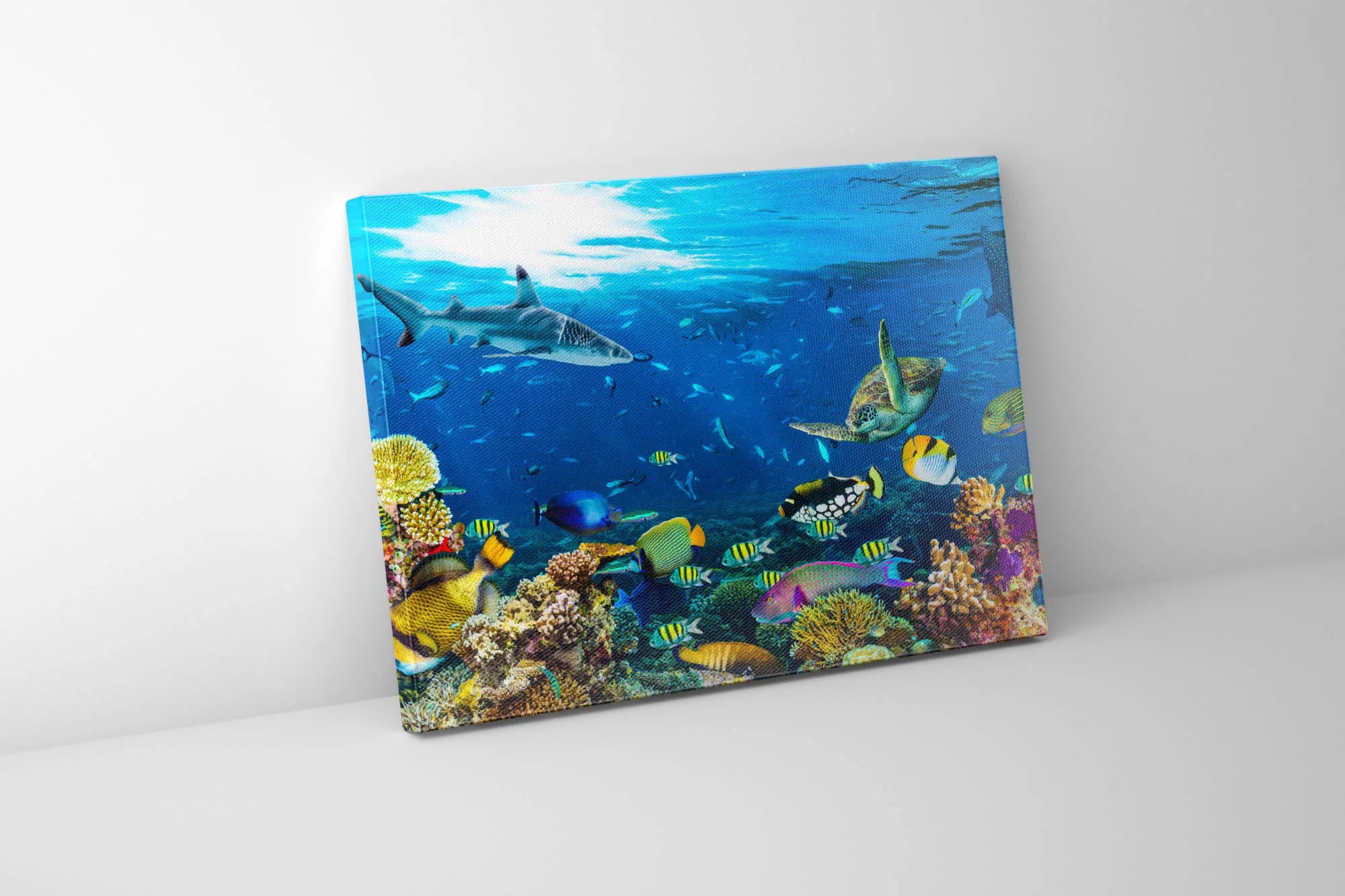 Below the Surface Canvas Art 48" x 36"