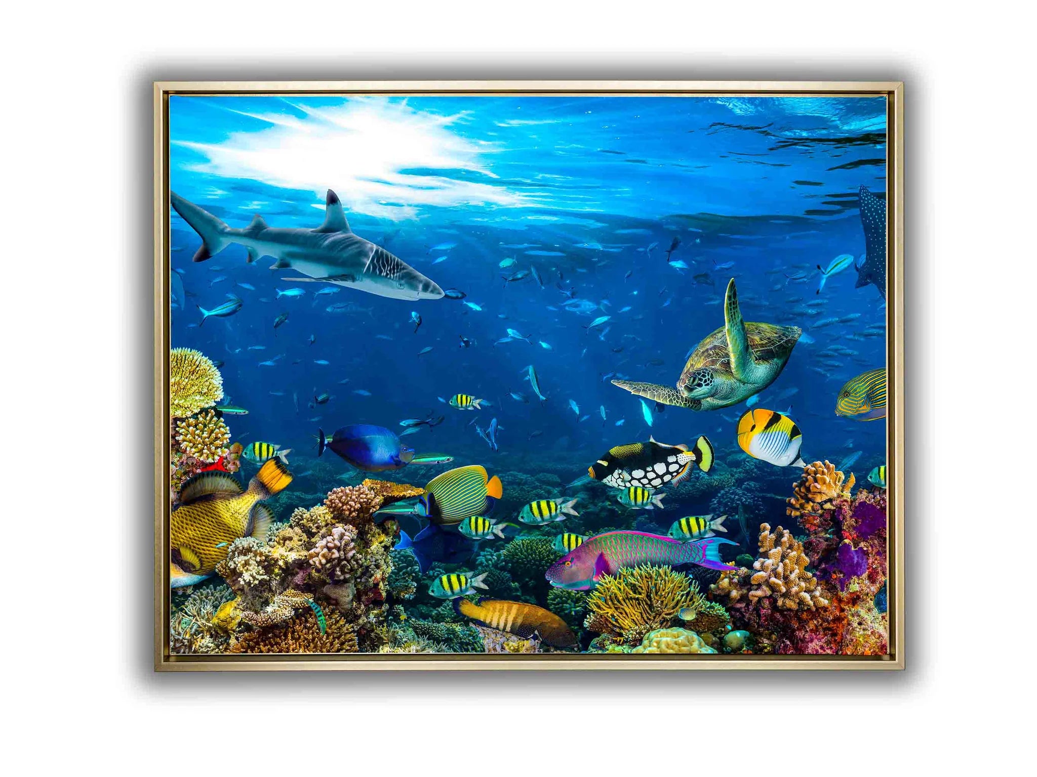 Below the Surface Canvas Art 48" x 36"