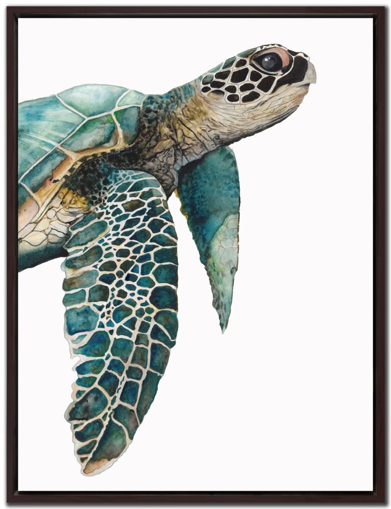 Great Sea Turtle Canvas Art 36" x 48"