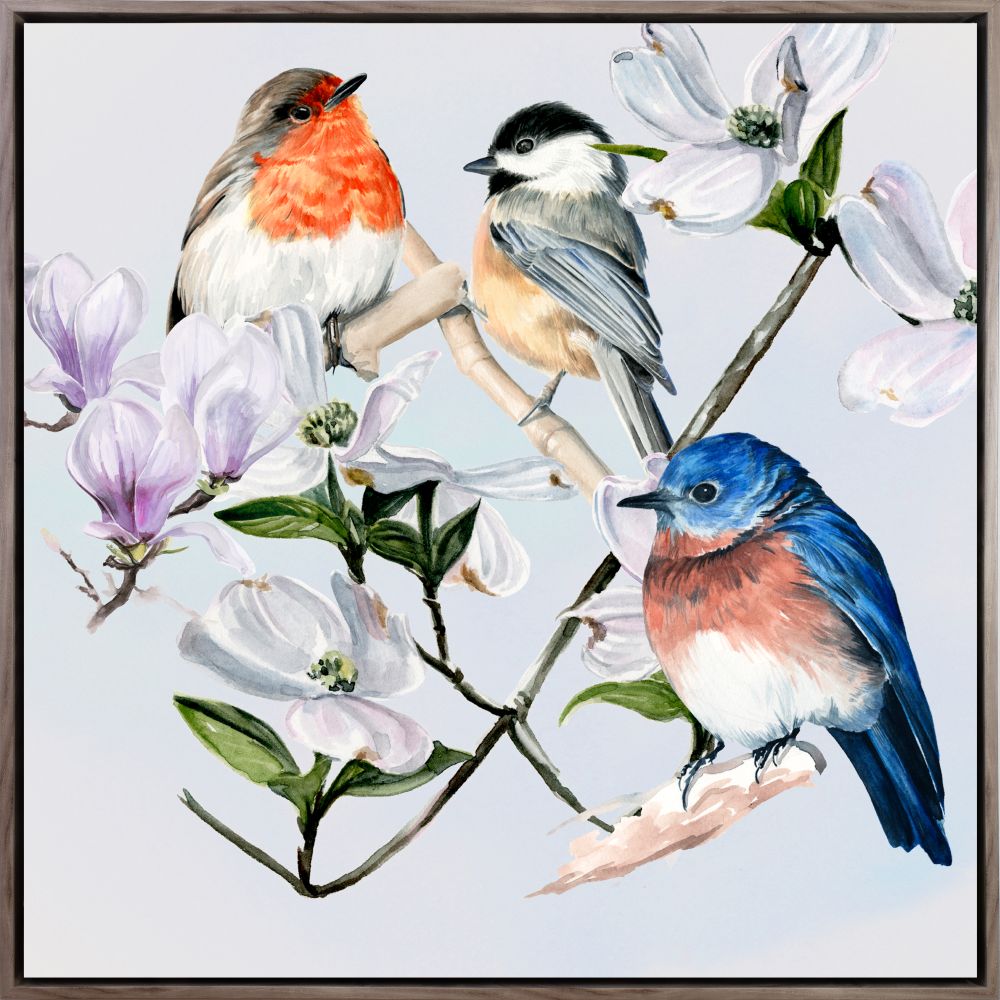 Four Little Birds I Canvas Art 30" x 30"