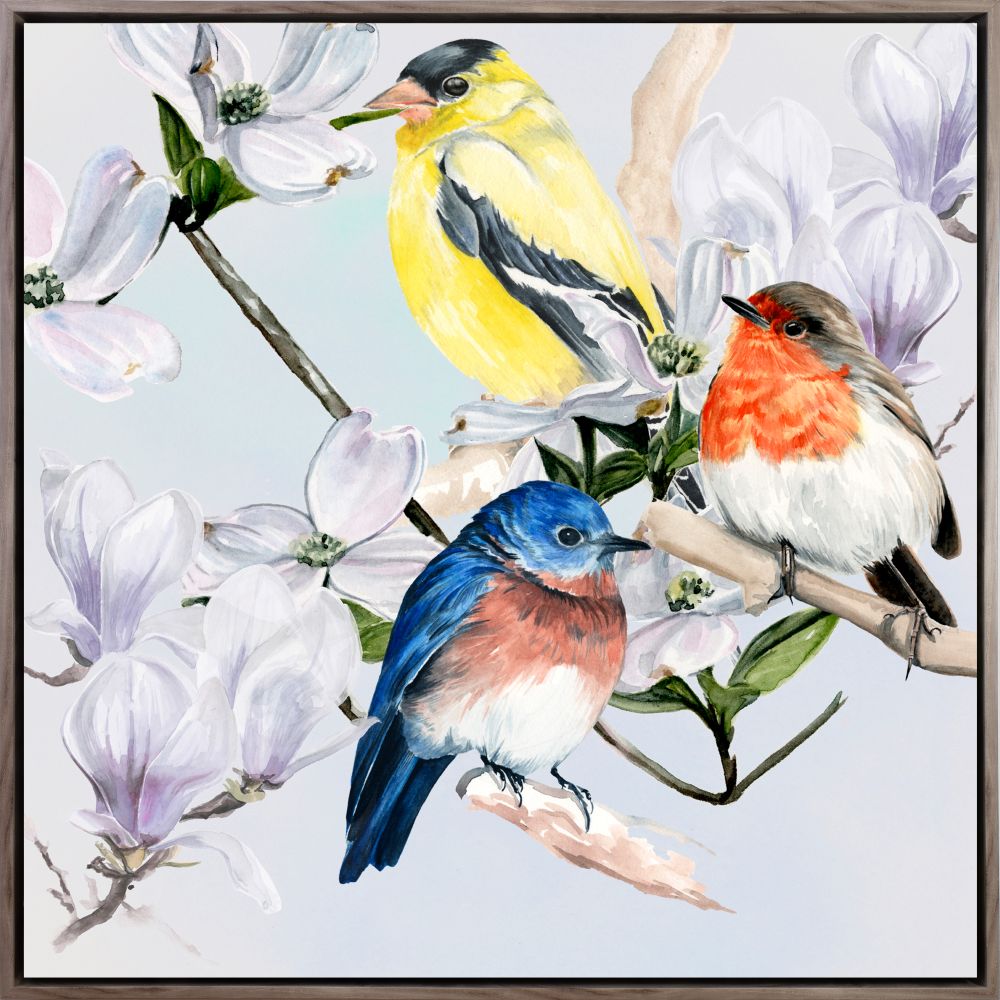 Four Little Birds II Canvas Art 30" x 30"