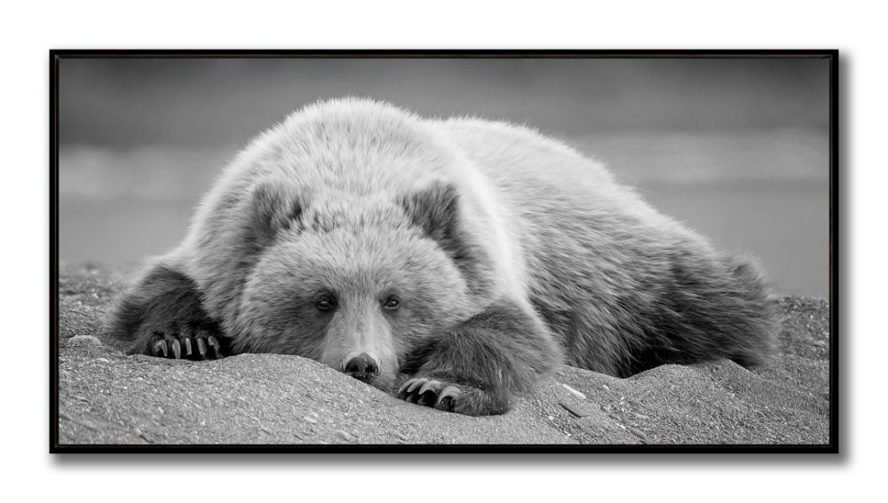 Bedroom Eyes Canvas Art 30" x 60"