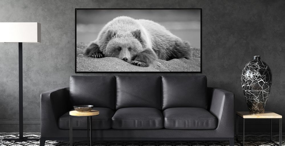 Bedroom Eyes Canvas Art 30" x 60"