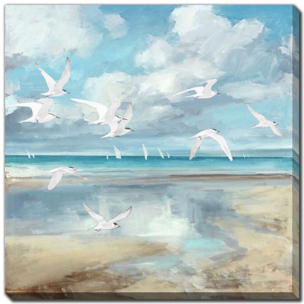 Shore Birds Canvas Art 36" x 36"