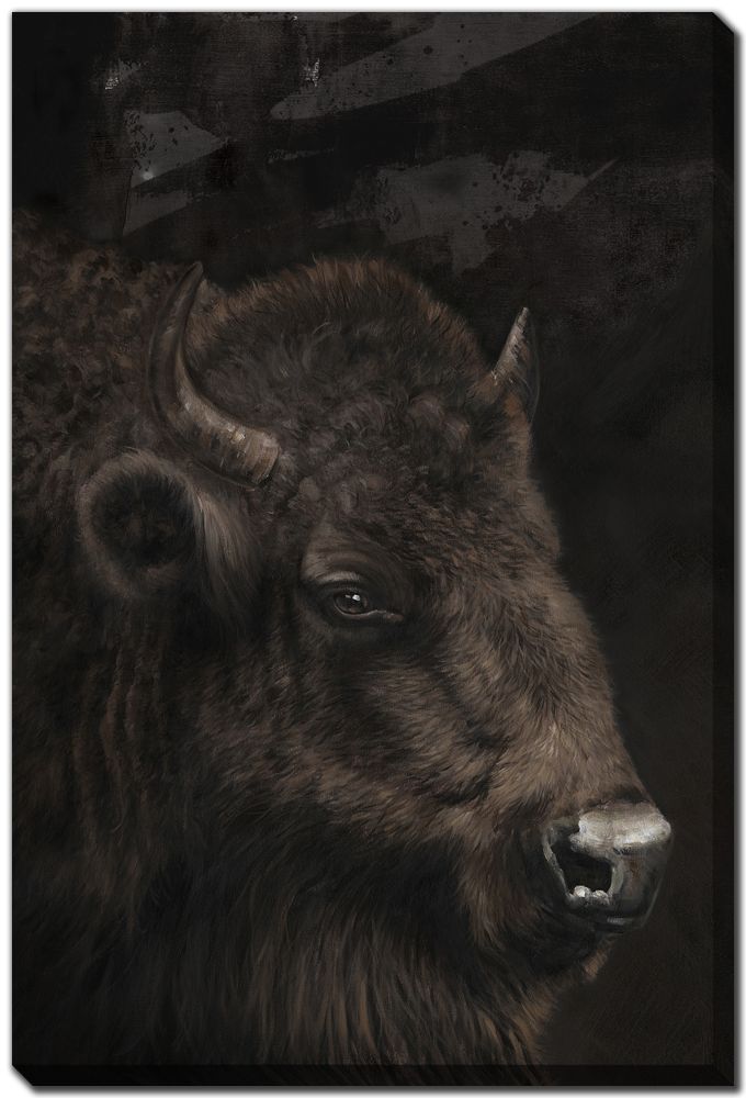 Bold Bison Canvas Art 24" x 36"